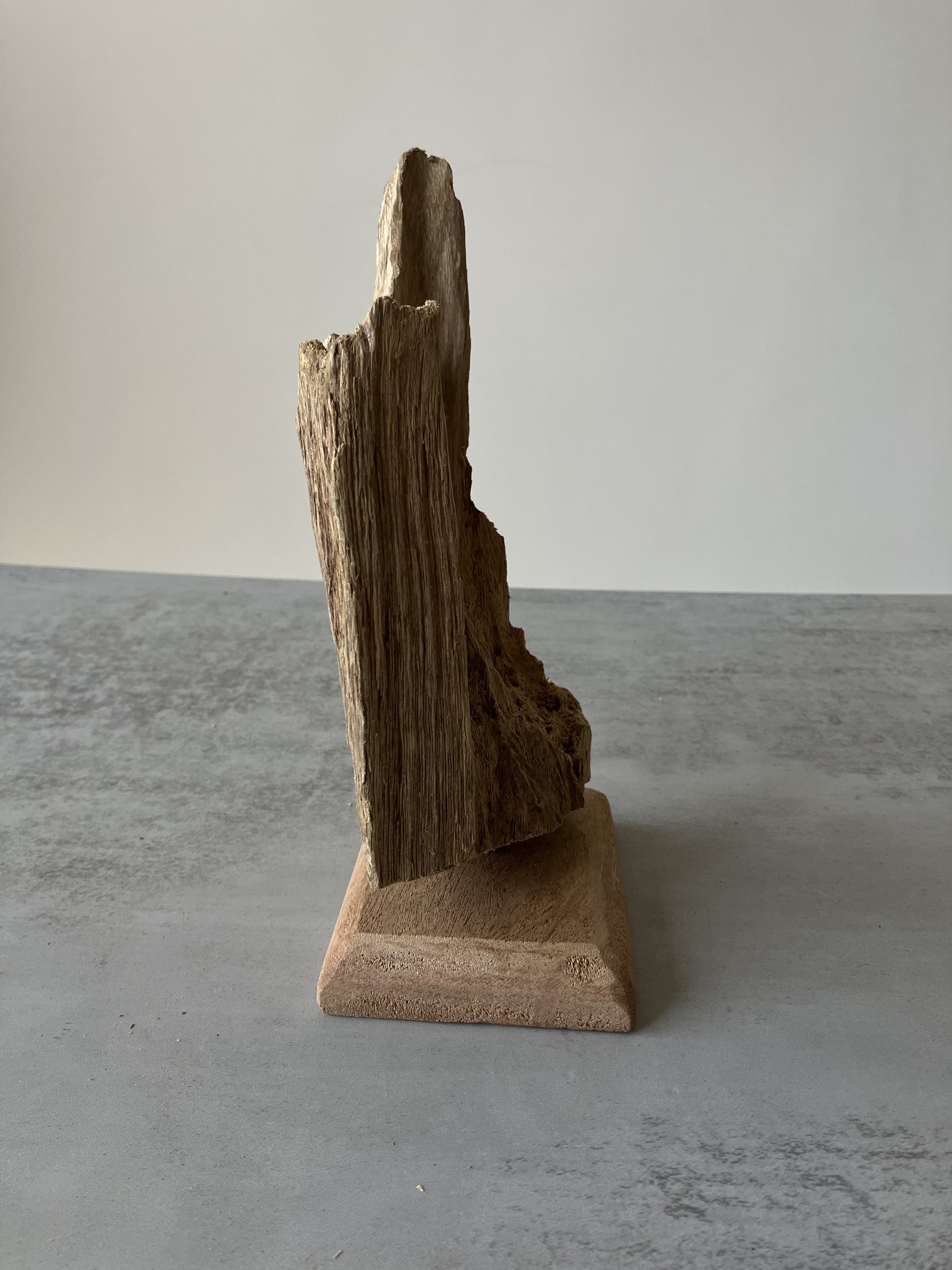 image_359027B2-CE86-457F-A829-EAFEB8C5470A_1751438541