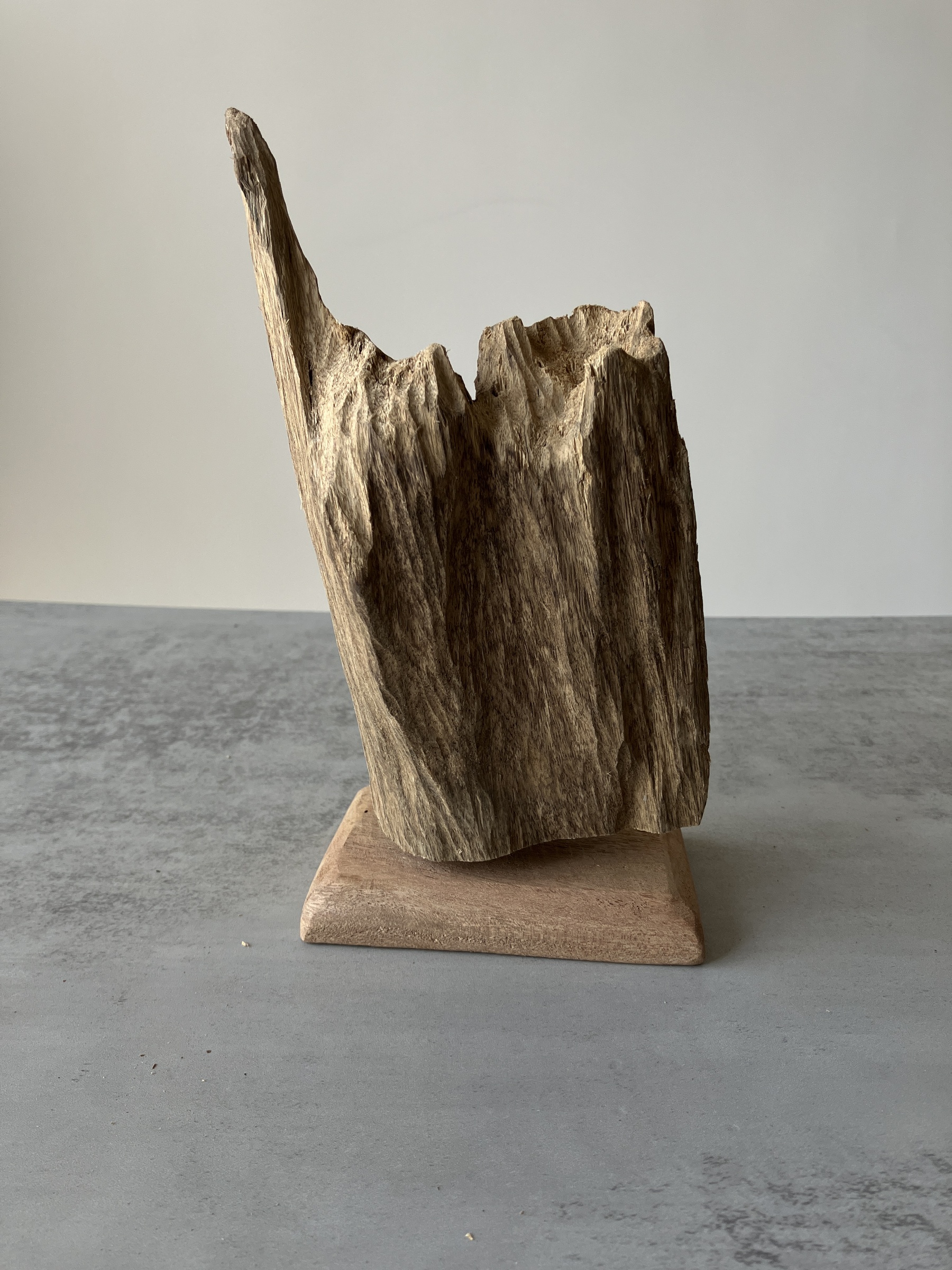 image_F7FD45B6-D4B0-4445-B568-9B8EA01144F4_1751438541