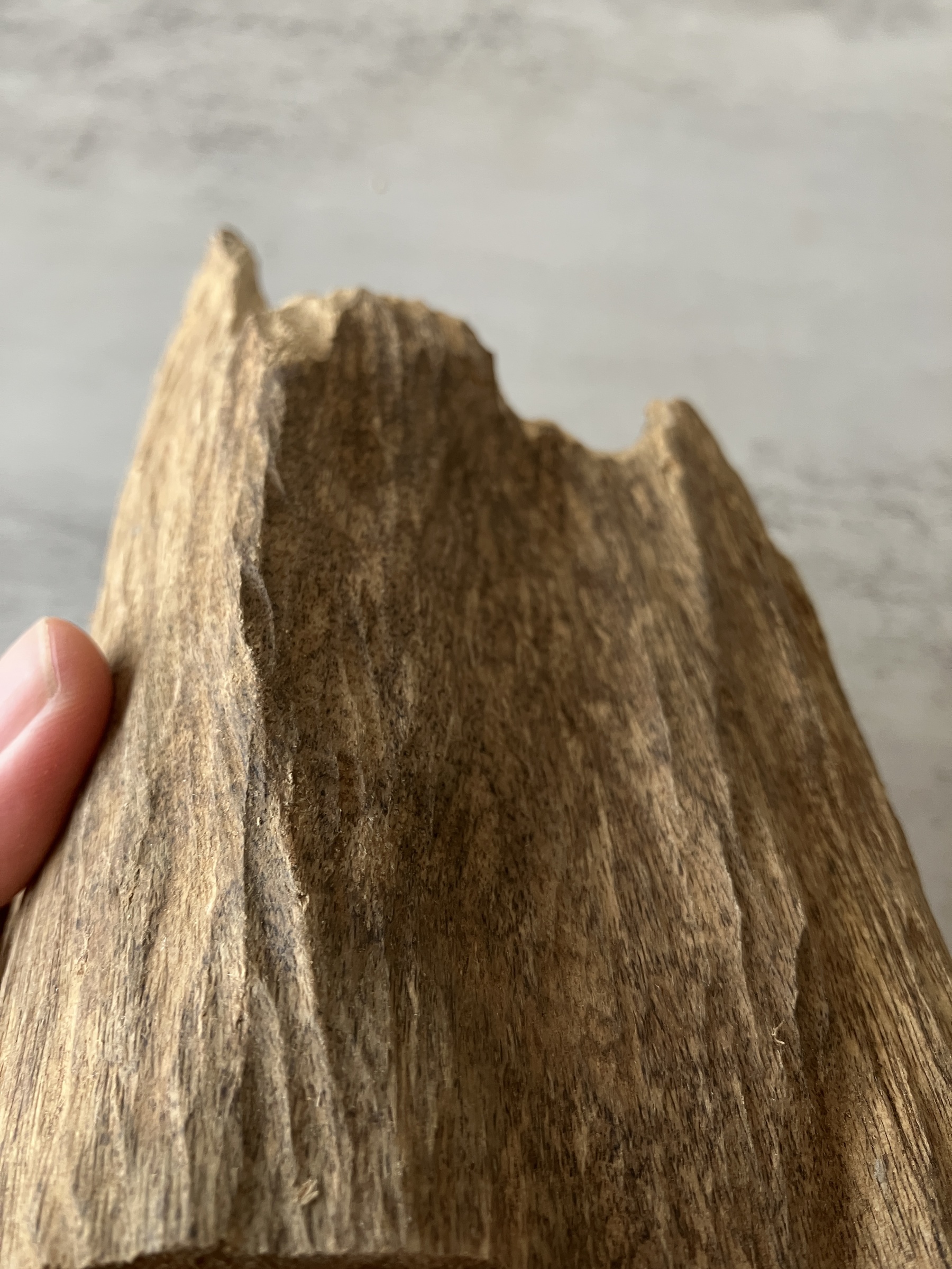 image_025990D2-56A0-44D2-A7A3-91AF3BA4905B_1751438541