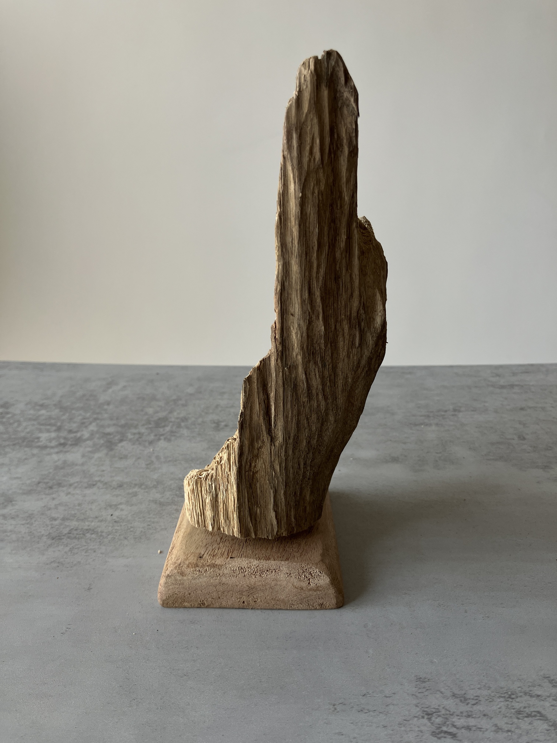 image_28694B8C-9968-4C23-875B-6C7352DFEDFA_1751438541