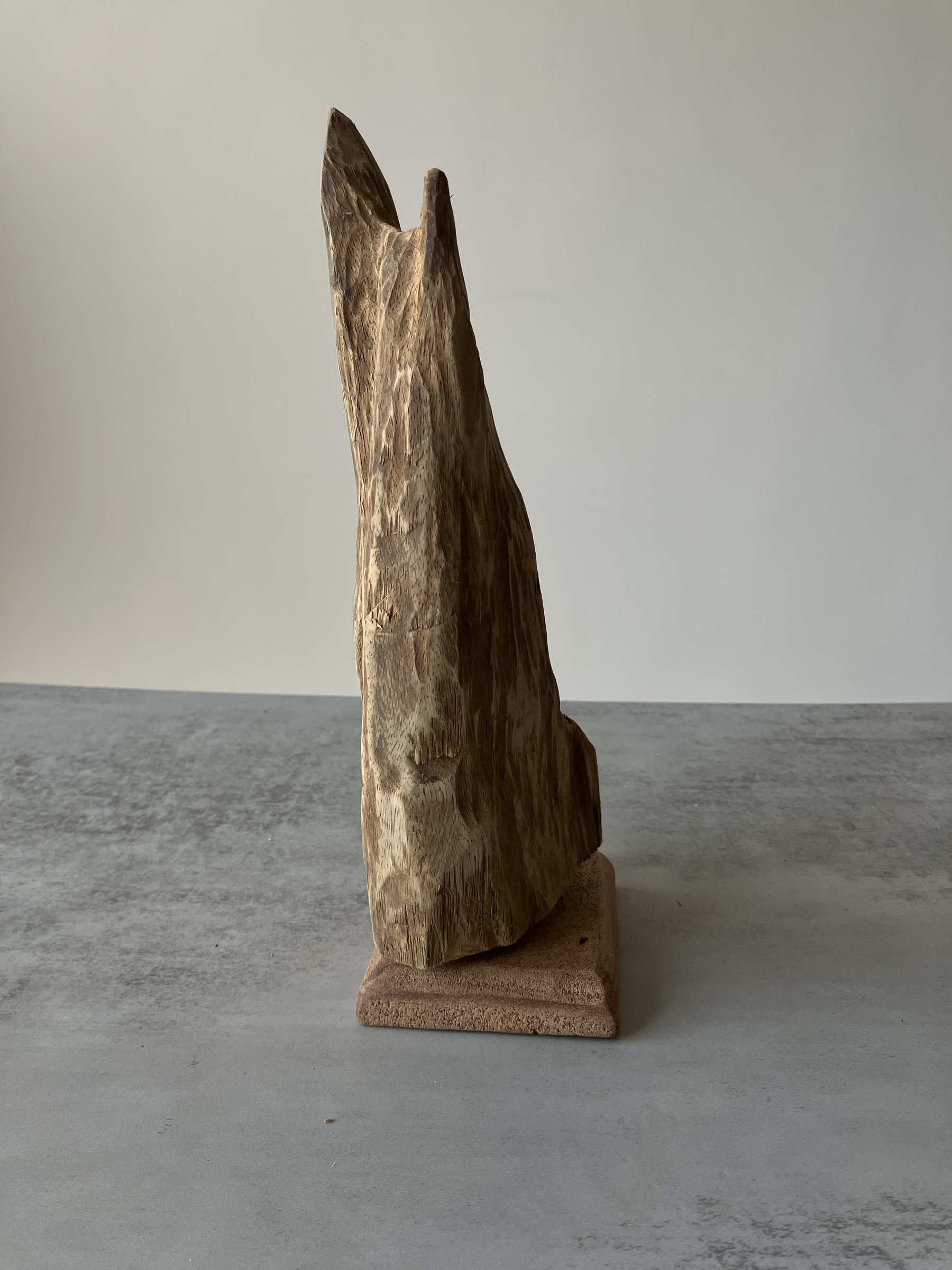 image_20FBF2D6-C2D2-4B41-94C3-C3C413F6A7D2_1751438750