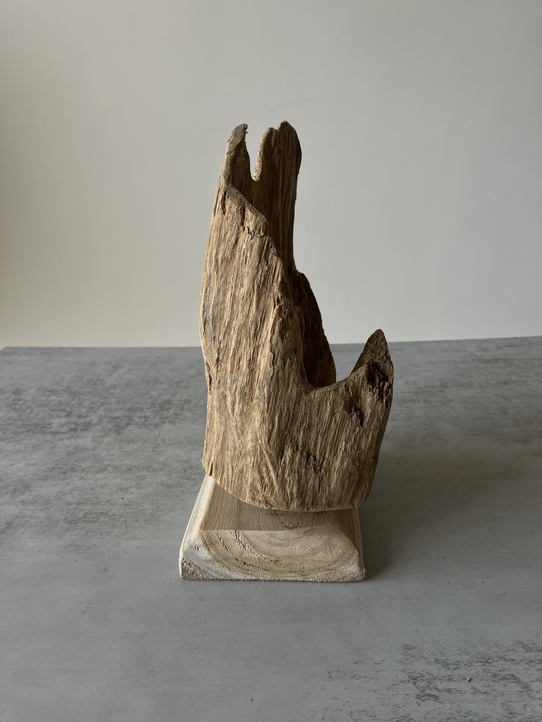 image_06CF3D03-F2B3-4BE7-9968-70B08A1E37CD_1751438908