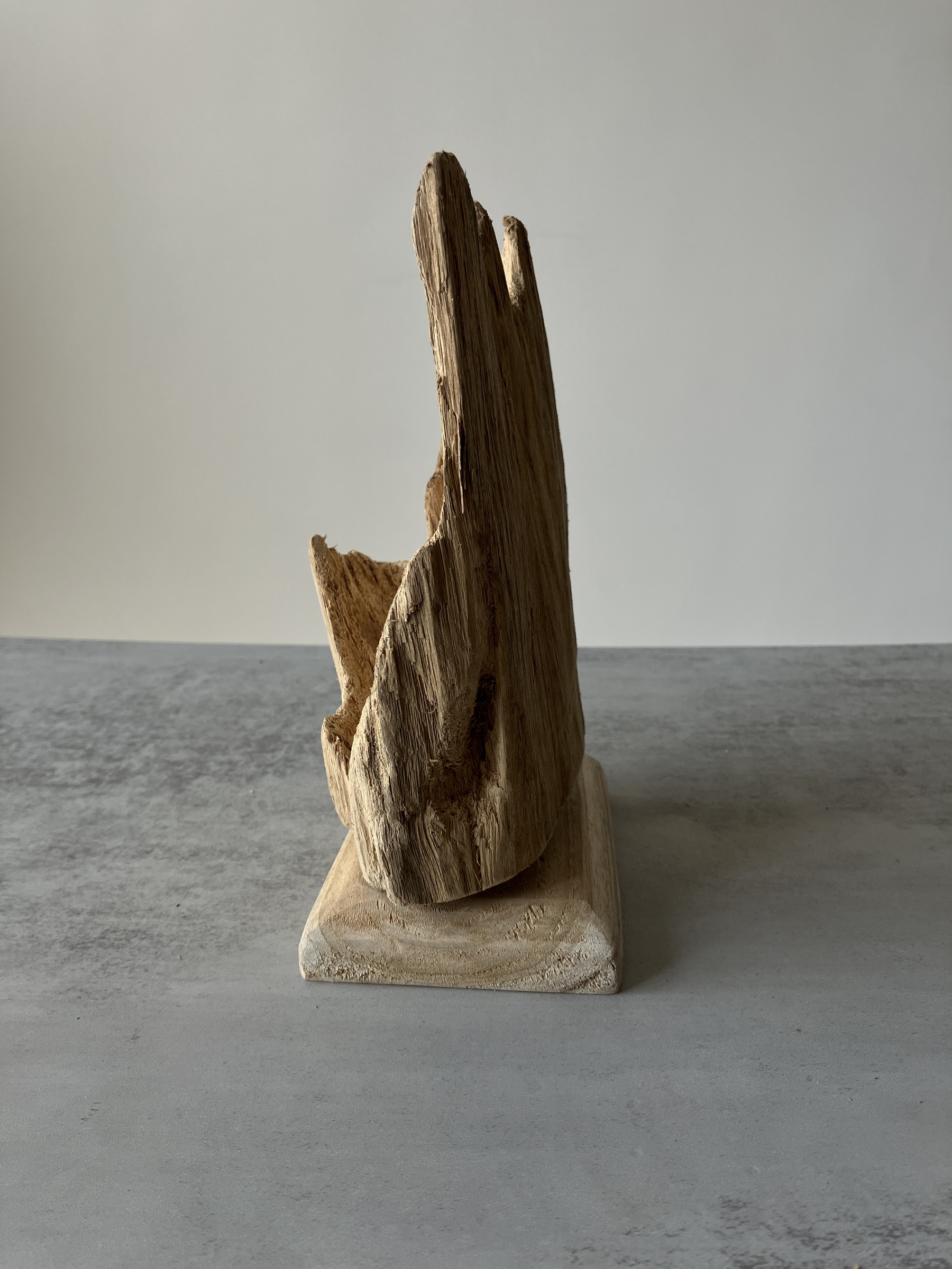 image_2D617008-0FE2-41D0-B1BA-E6080D68A7CF_1751438908