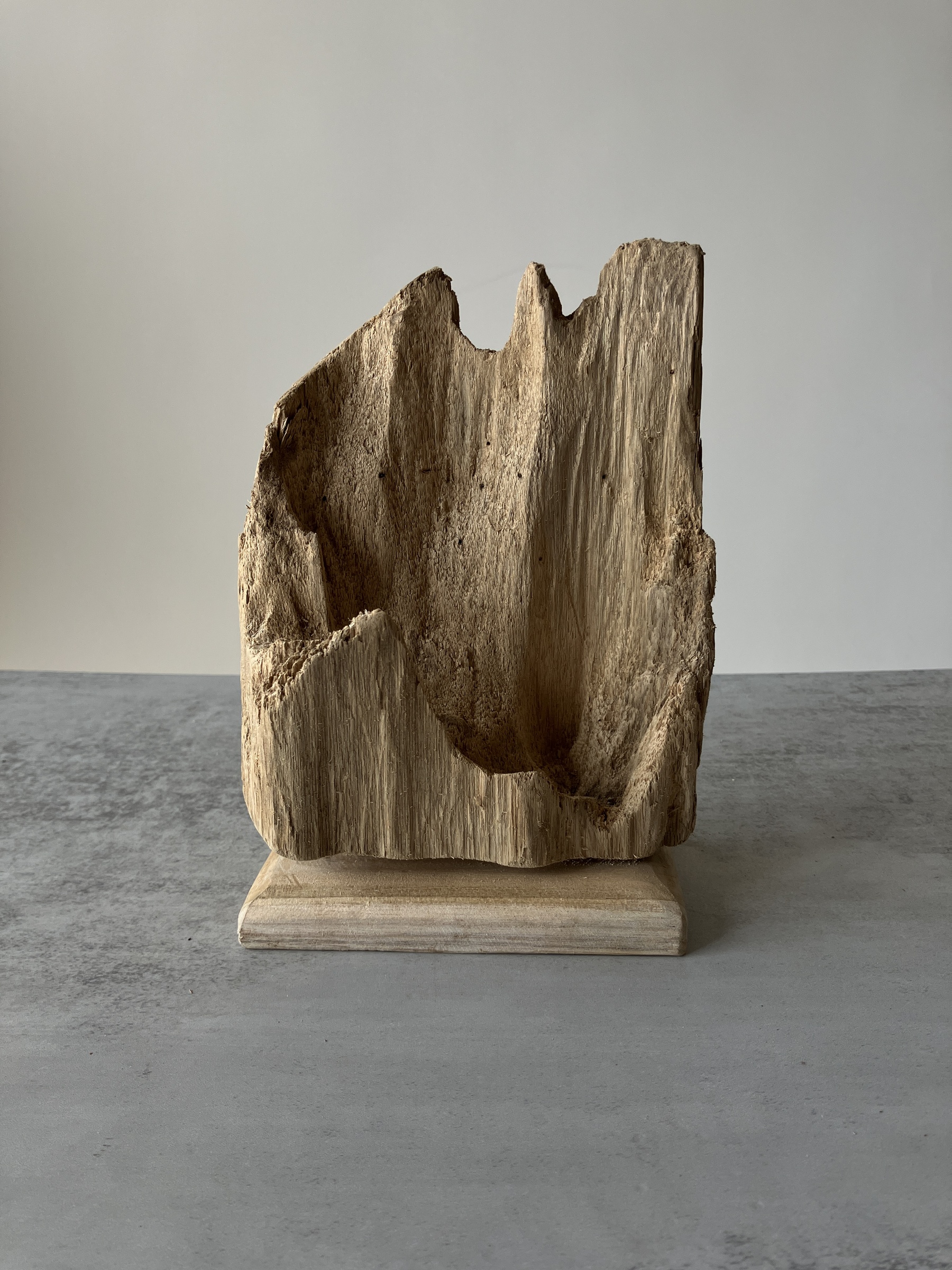 image_271024FF-2B8B-413C-81A4-94C00F7D62B3_1751438908