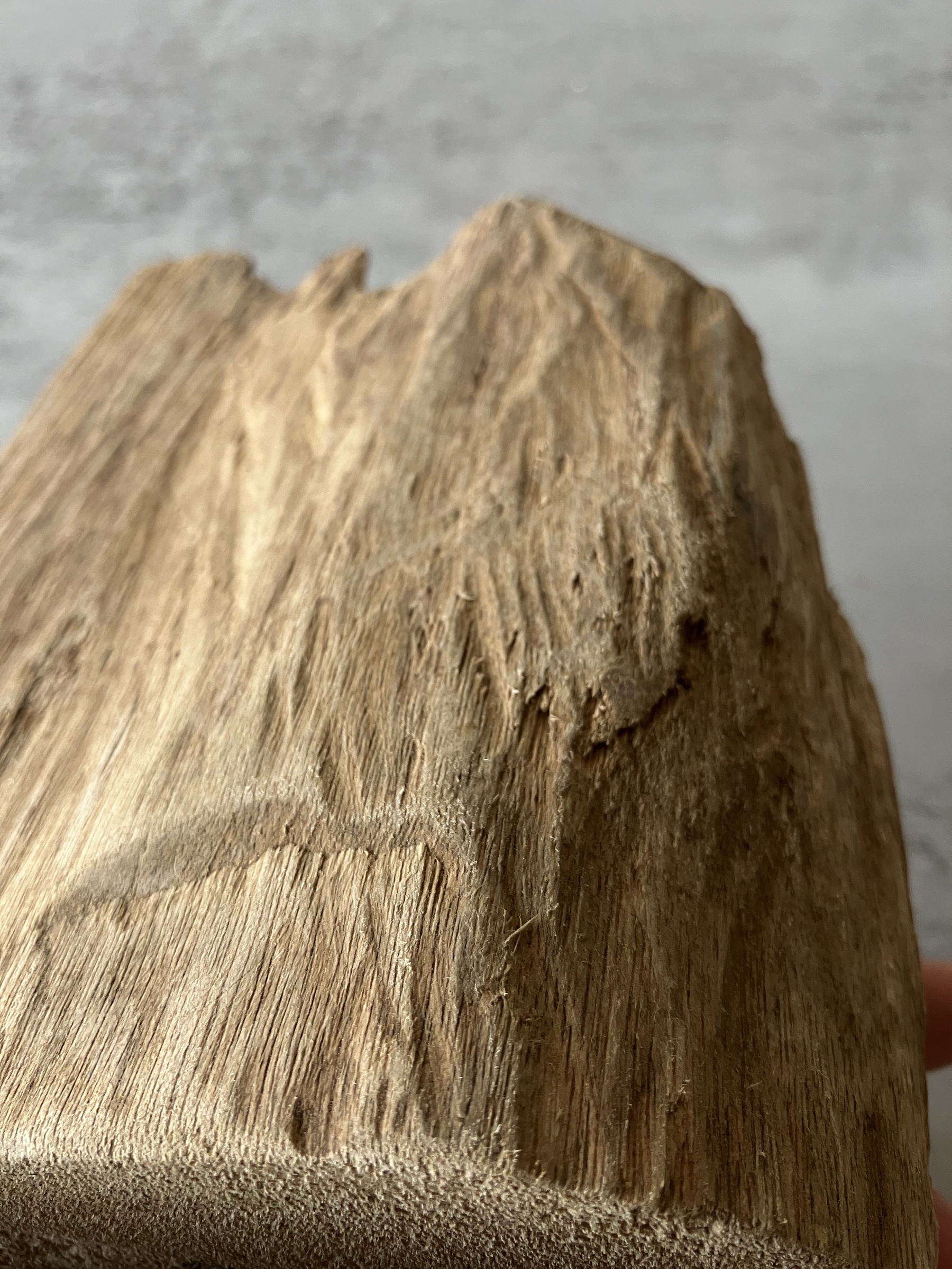 image_614ACB70-46D2-4575-8E88-FE416A375714_1751438908