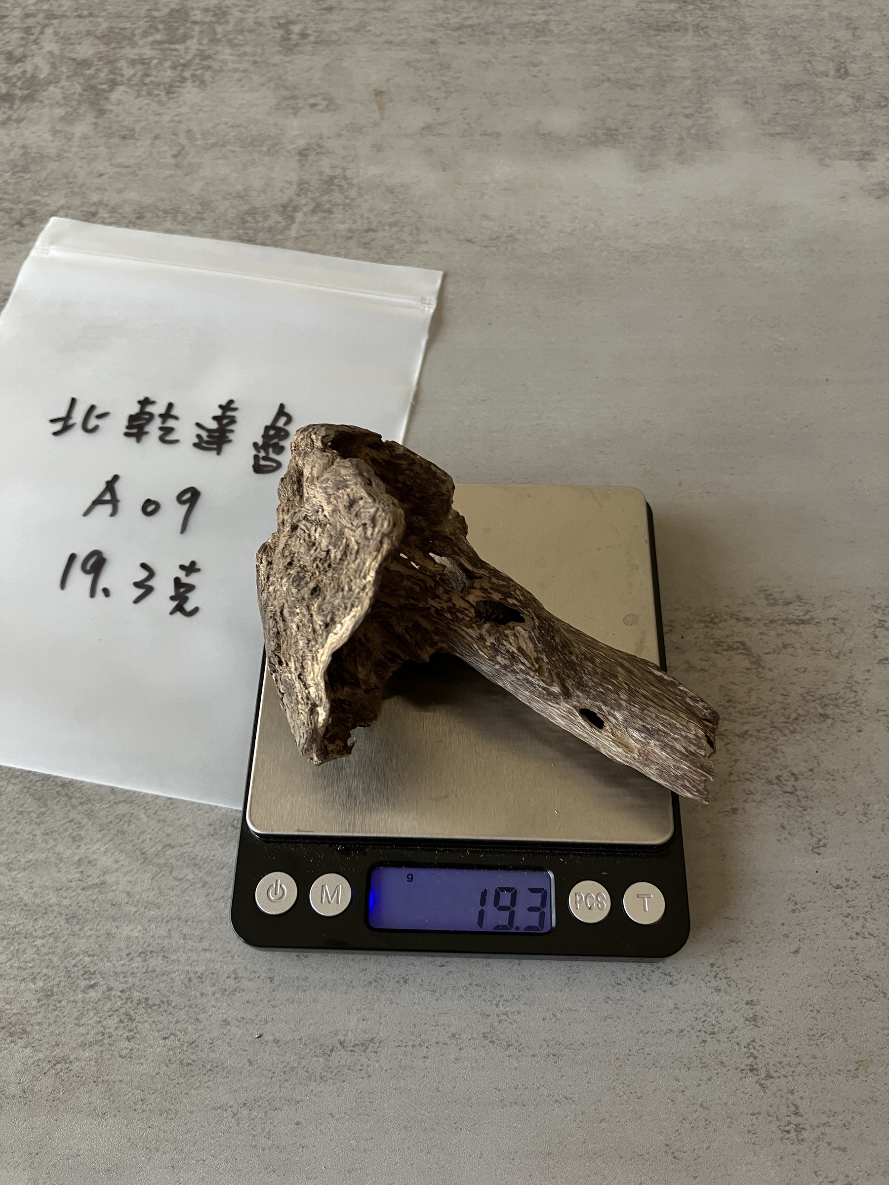 image_F7811ADA-3912-4372-A62A-8C0C14C5FEF9_1751442264