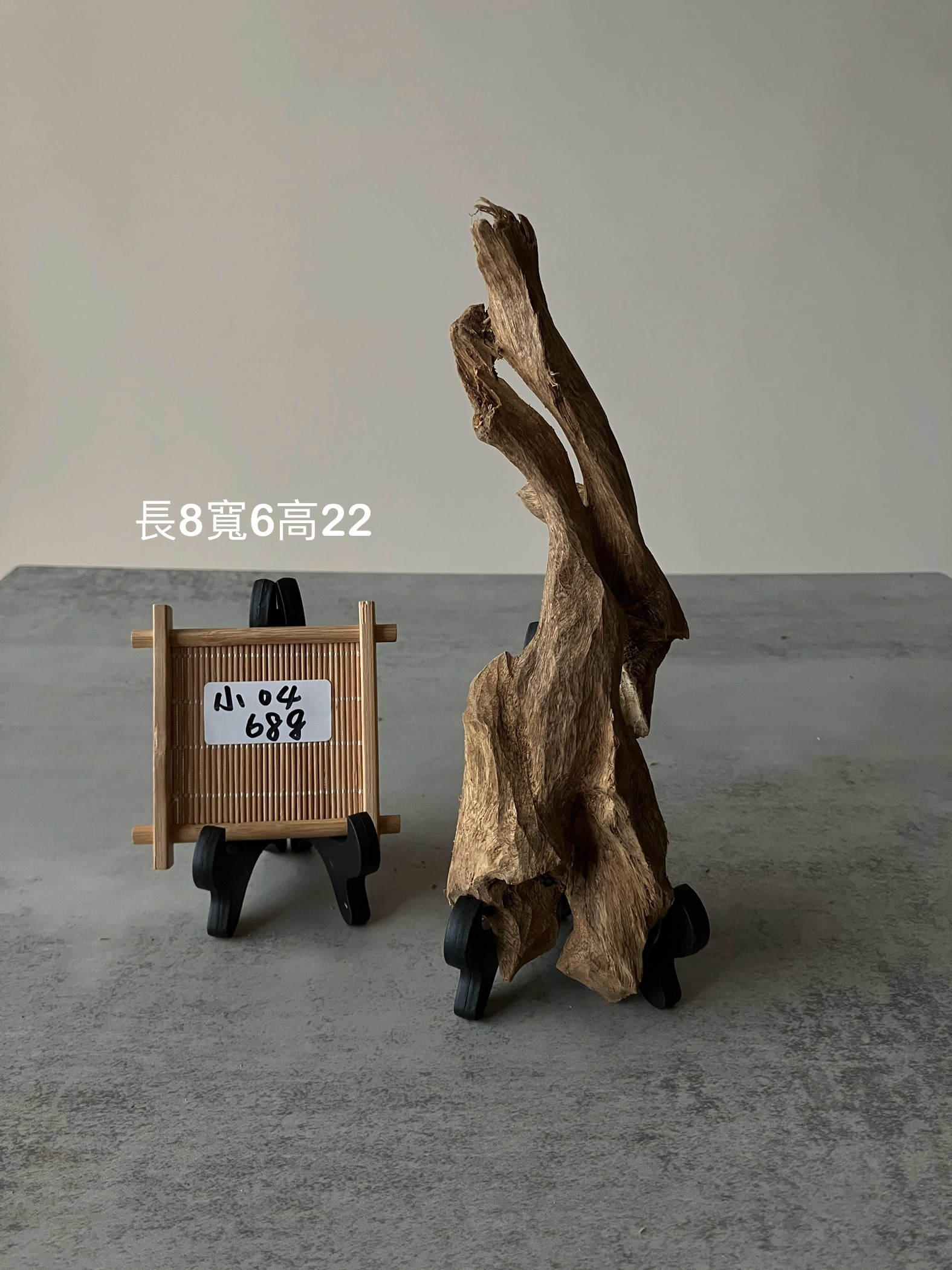 image_2AD43F70-9410-47B7-81AE-62FE29BF81E5_1752047654