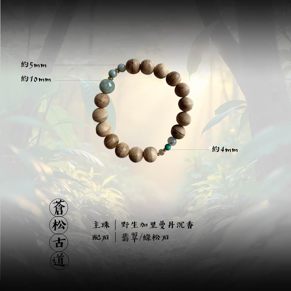 蒼松古道-02
