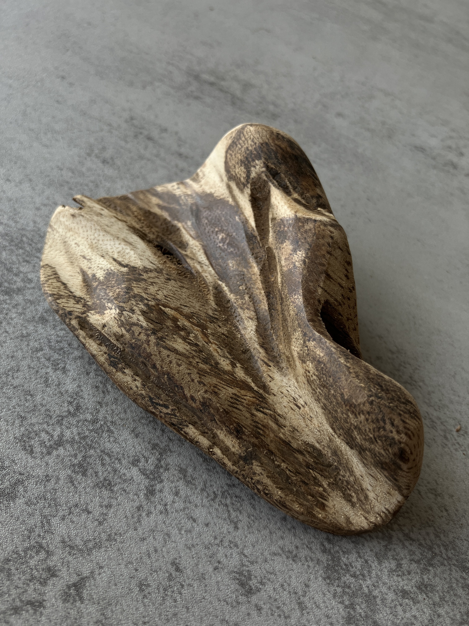 image_27D948AA-5C11-4A90-B89D-61661934417C_1756108017