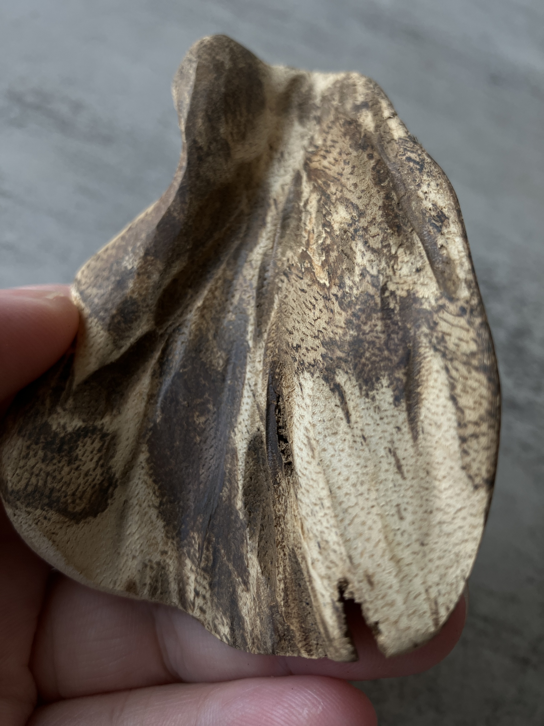 image_23561BF1-A552-48E2-8401-8A63D58D5C0A_1756108017