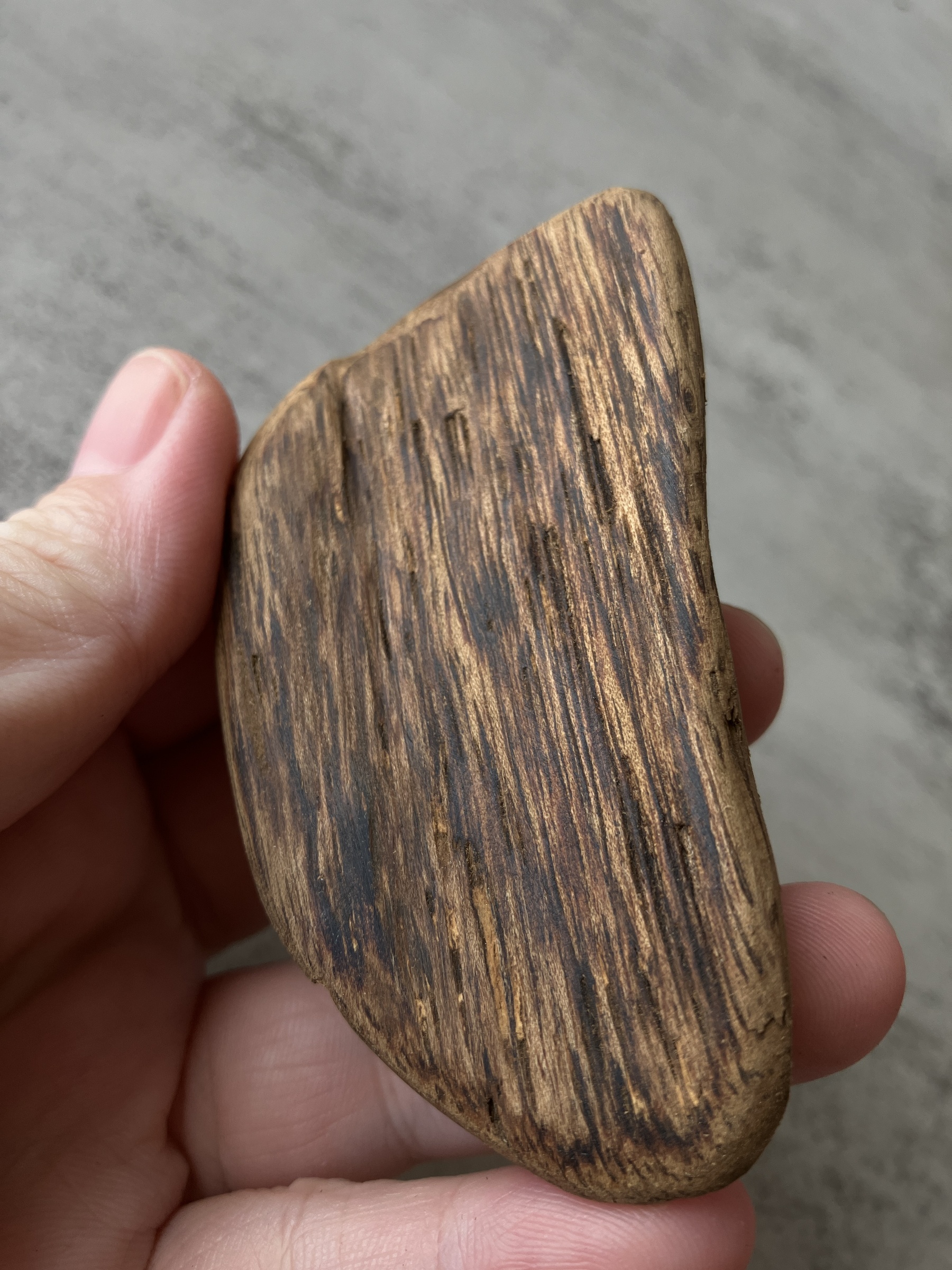 image_BC0DC602-49A6-495D-AF0C-5E0DD60FB889_1756108122