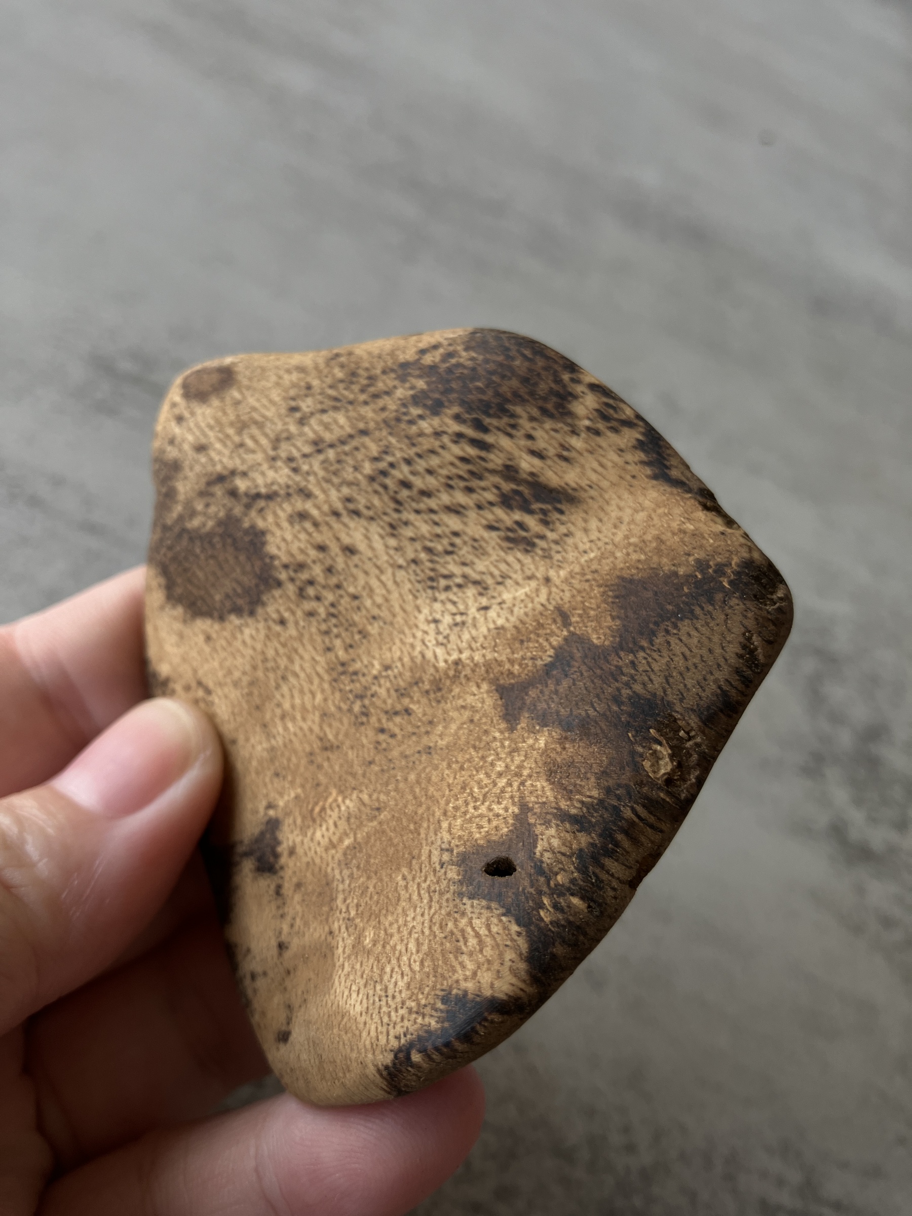 image_6F378FC6-B947-47F5-A3FA-5BDB29F99EB4_1756108706