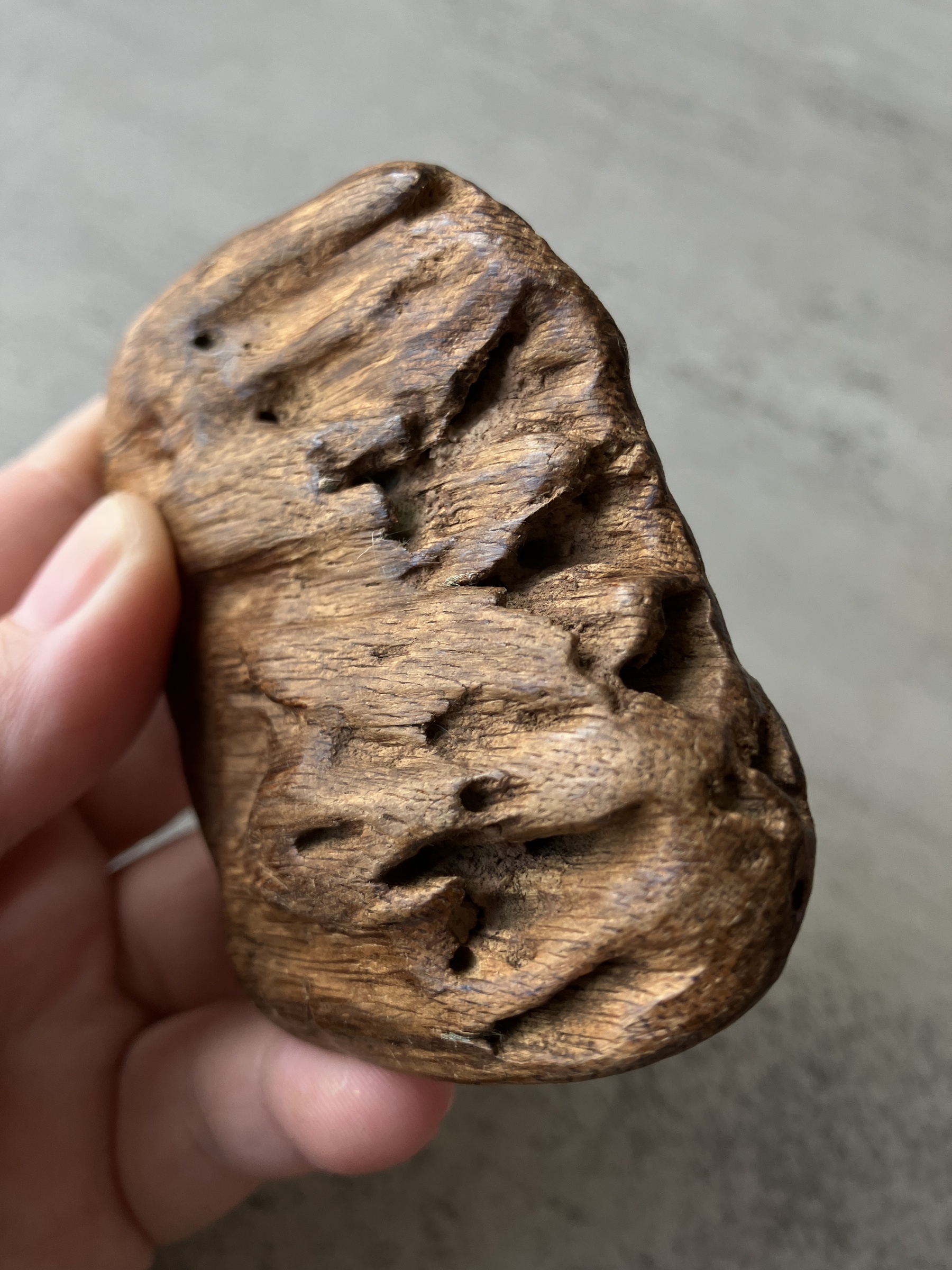 image_98453919-5ABE-49D9-BB80-F0425B7BB59D_1756108946