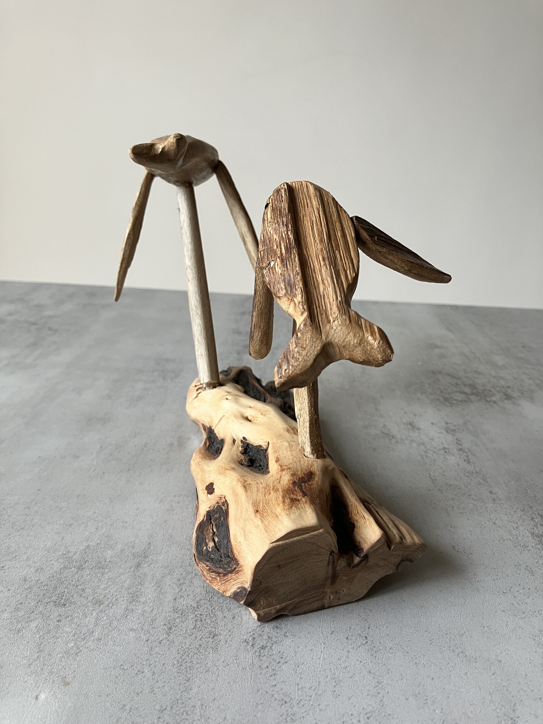 image_372EF90F-68AD-46D3-A32B-892052EB7449_1756715944