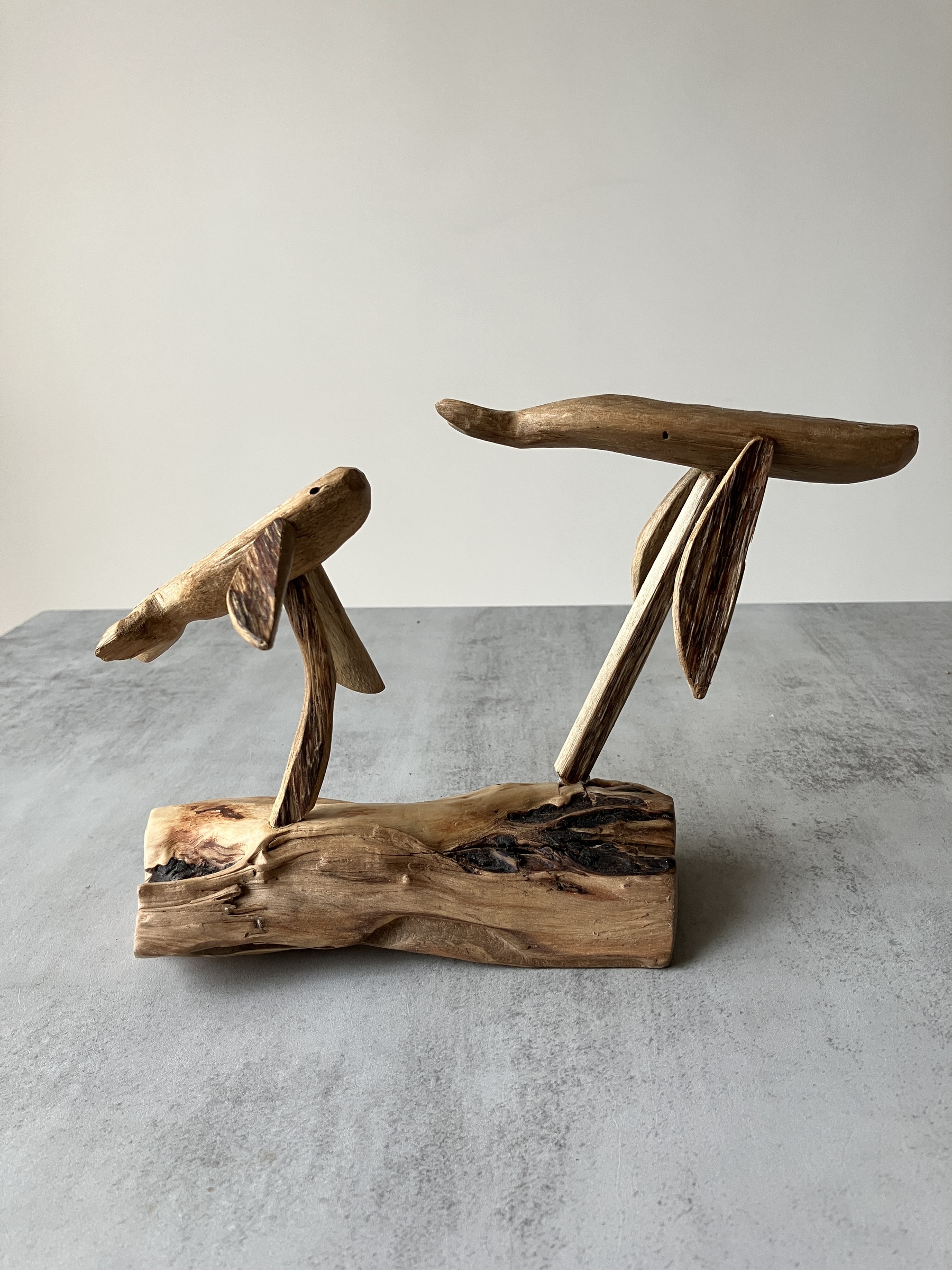 image_3D65D0BF-3C74-4576-A065-C8BB0B70DD95_1756715944