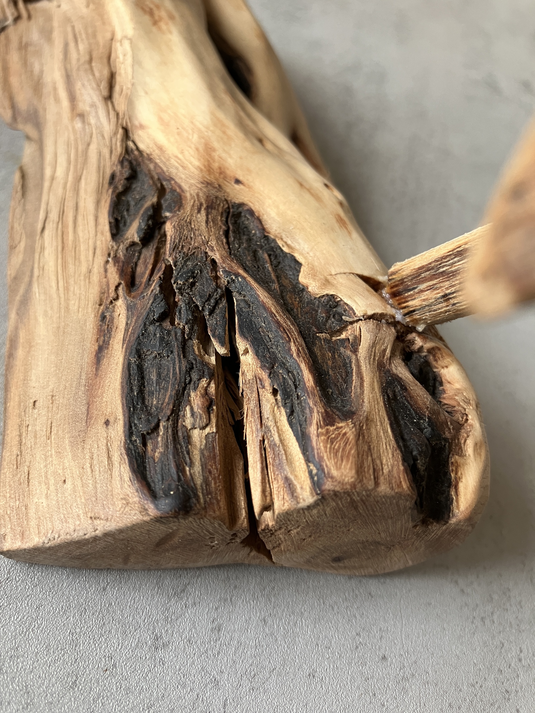 image_19EF79F4-A35F-45C4-9479-30AC1A96B535_1756715944