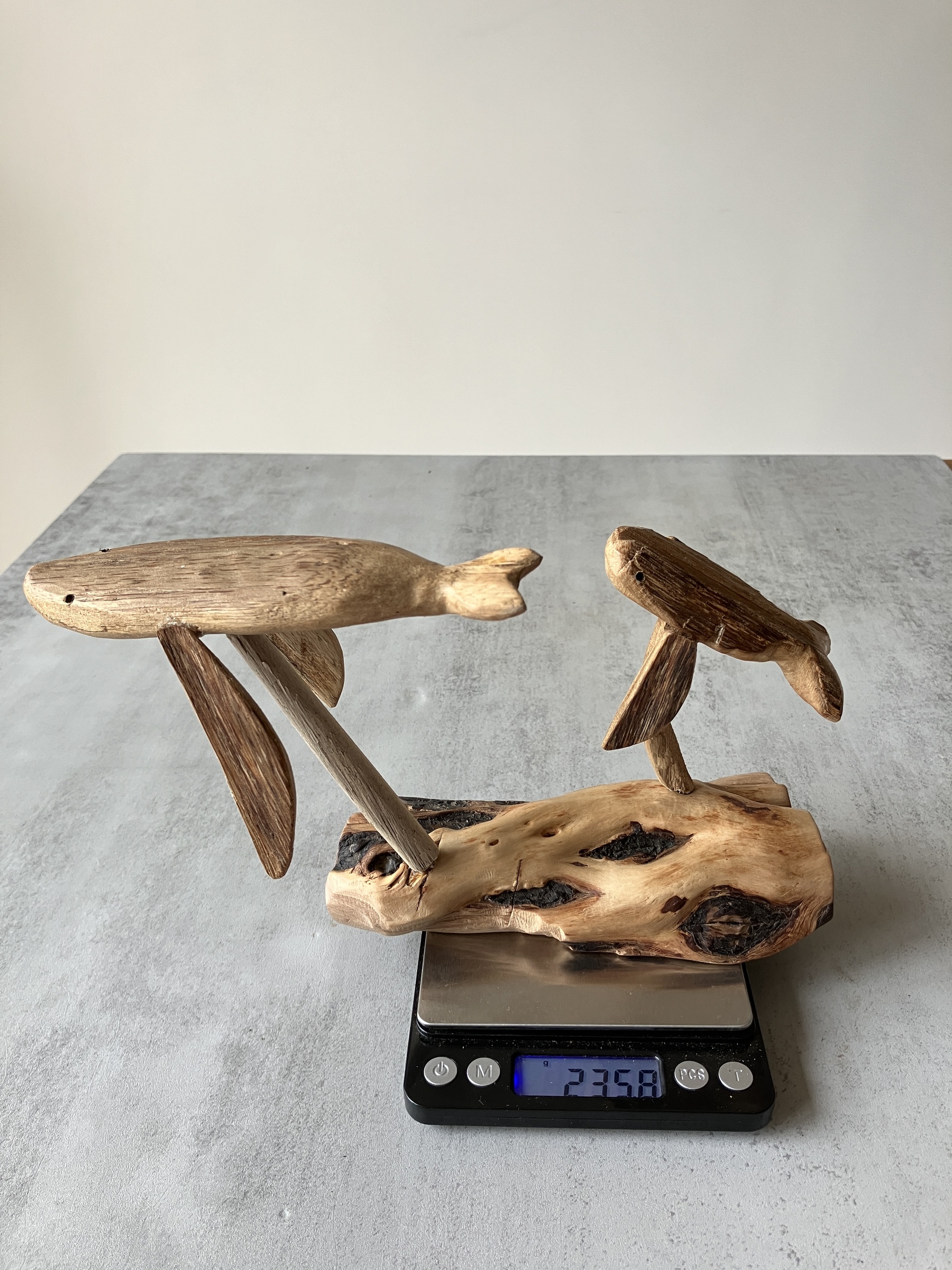 image_7346224C-52A1-4388-84FD-D43CD5E0B0E8_1756715944