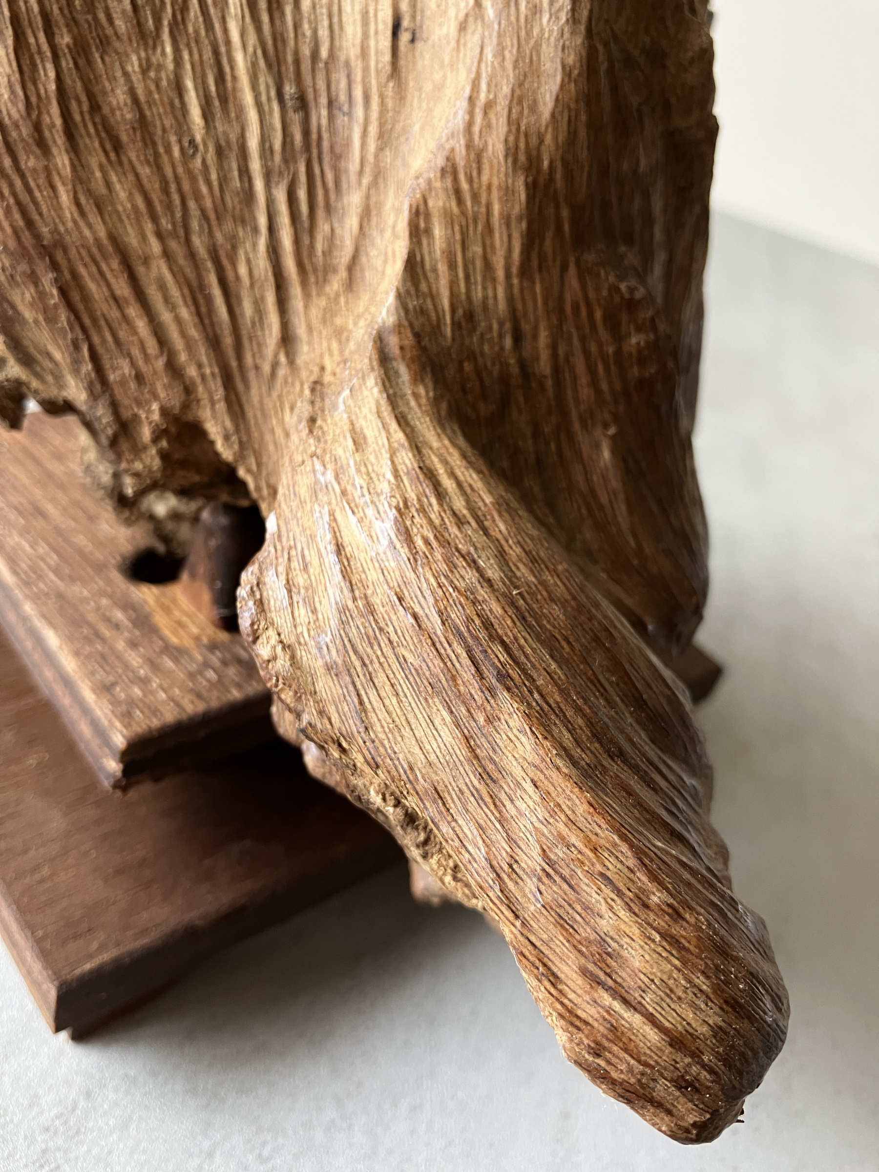 image_BC55B3D3-73C8-4E04-A361-FD9C646A5B43_1756716248