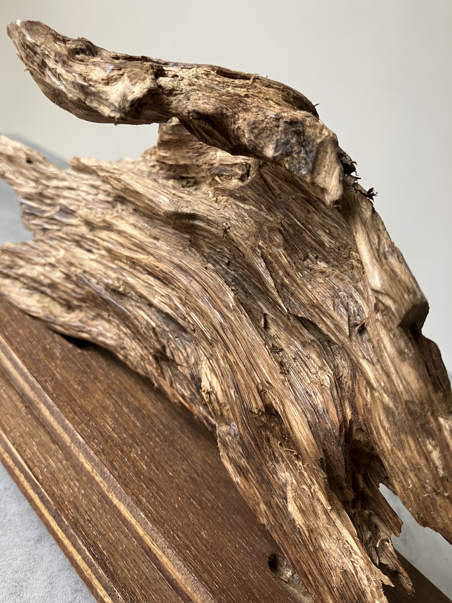image_EC758465-B577-45AD-8E6D-D4FCC3D39273_1756716366