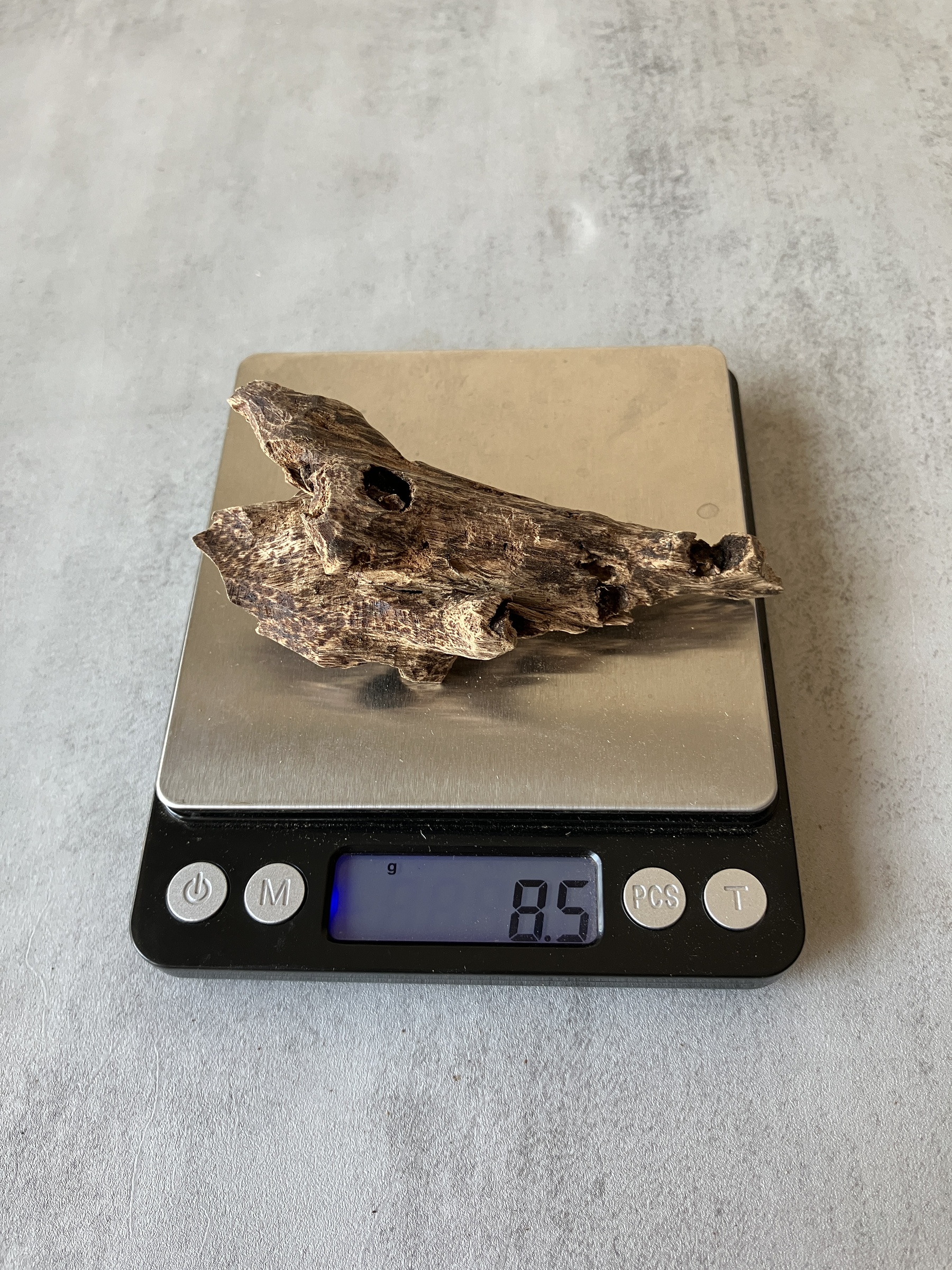 image_56A4110B-BE1F-44E8-825F-6D99FCC1DAE0_1757322471