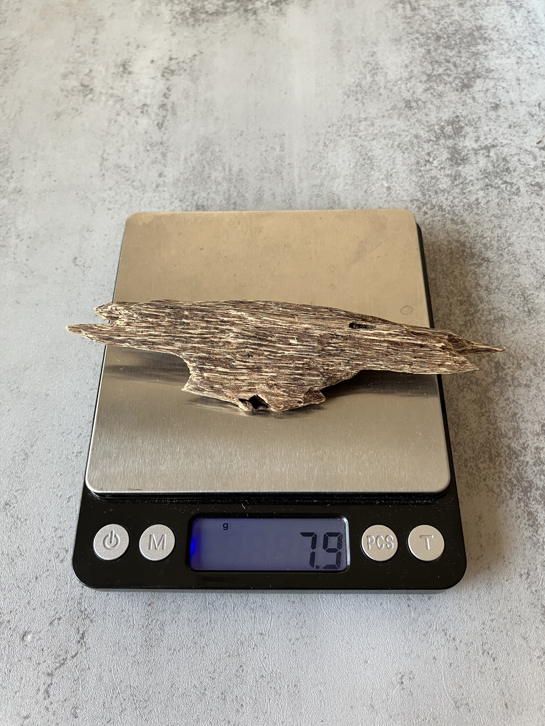 image_DDF3D21F-F518-461D-8E2D-B1006DAF0FDE_1757322667