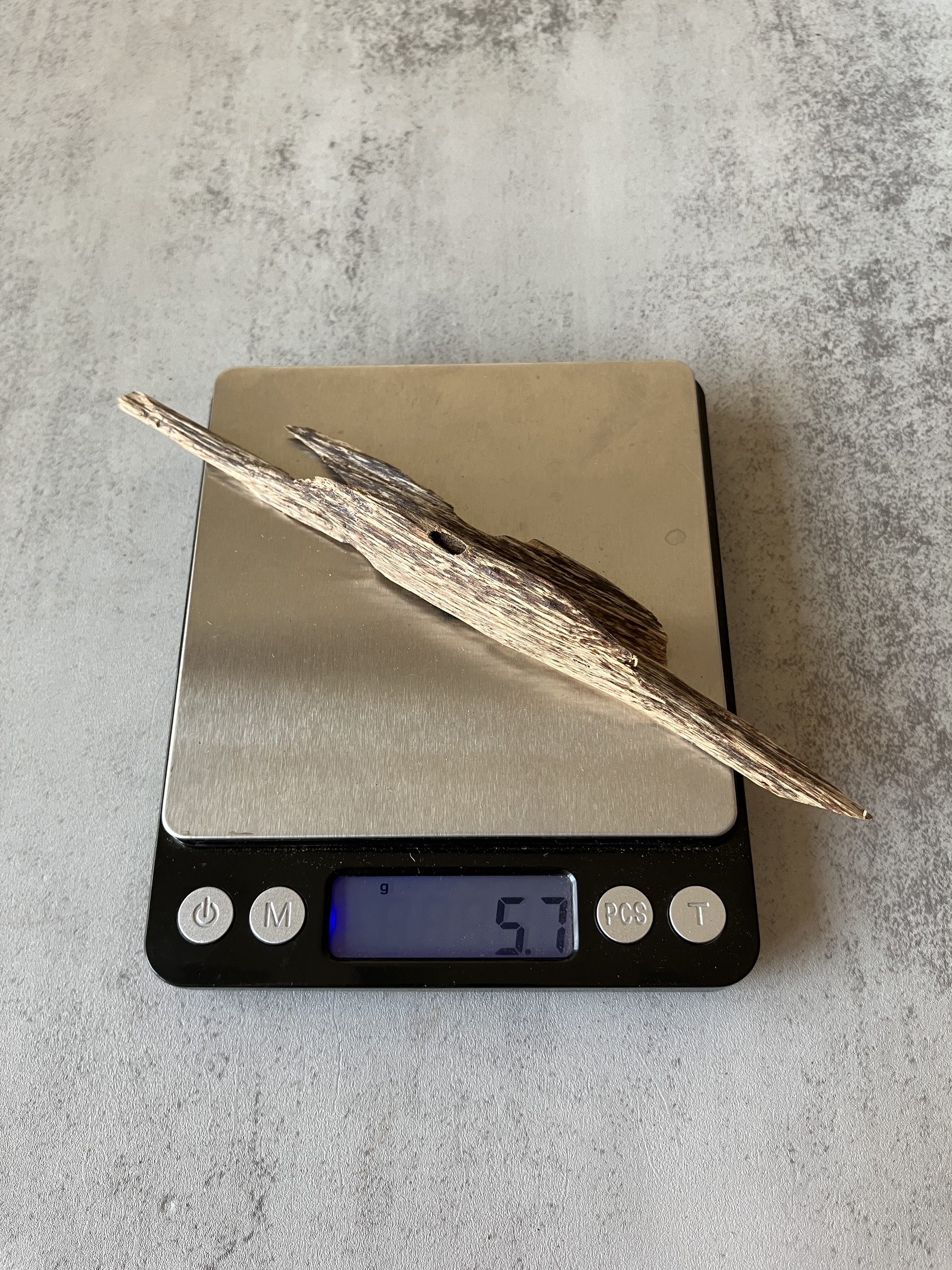 image_7CBAE525-DE69-42A9-98D3-F1F5757B273B_1757323105