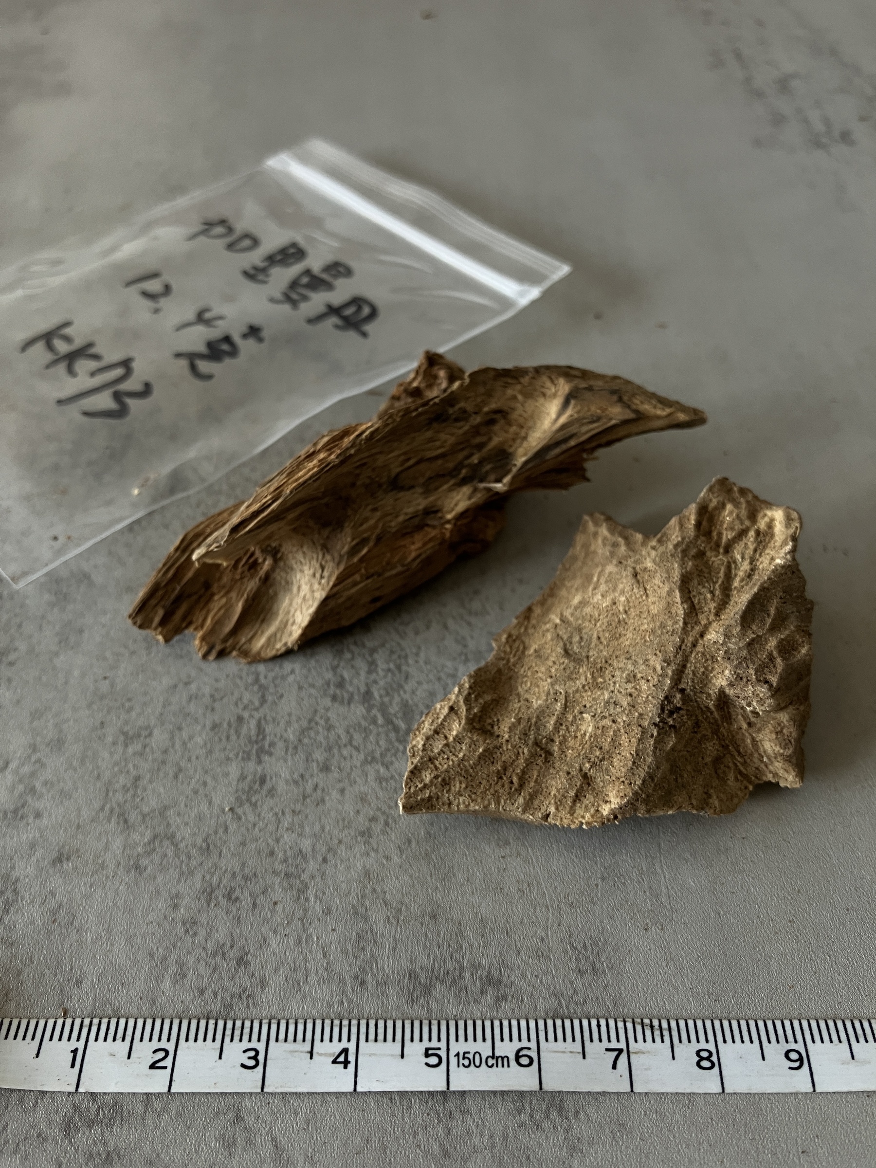 image_D1EC3BA4-0669-4D50-BEC9-3B61B4F29648_1758006686