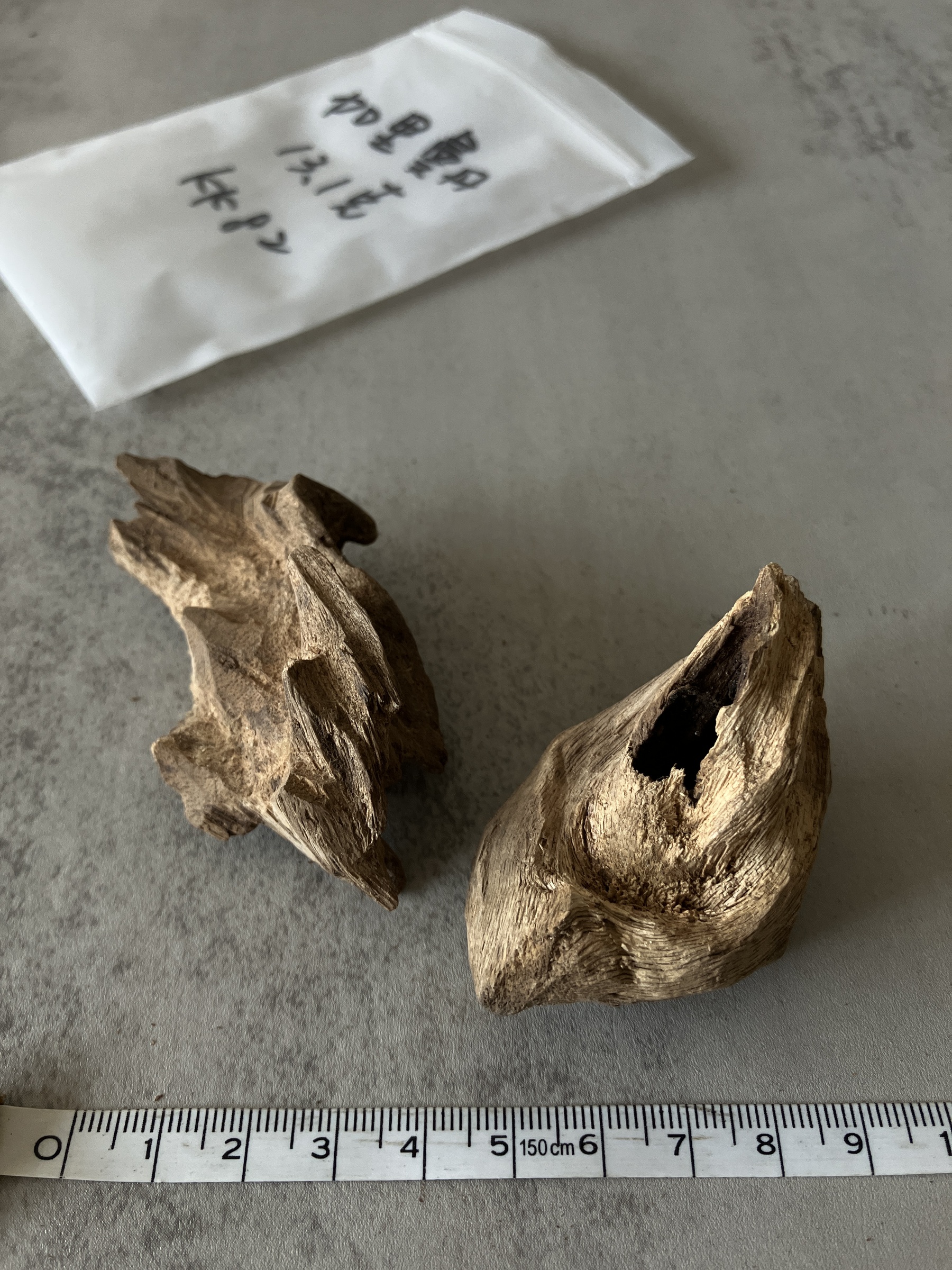 image_A8AA11CF-A258-4EEE-AD04-FCAEC0530BF9_1758089533
