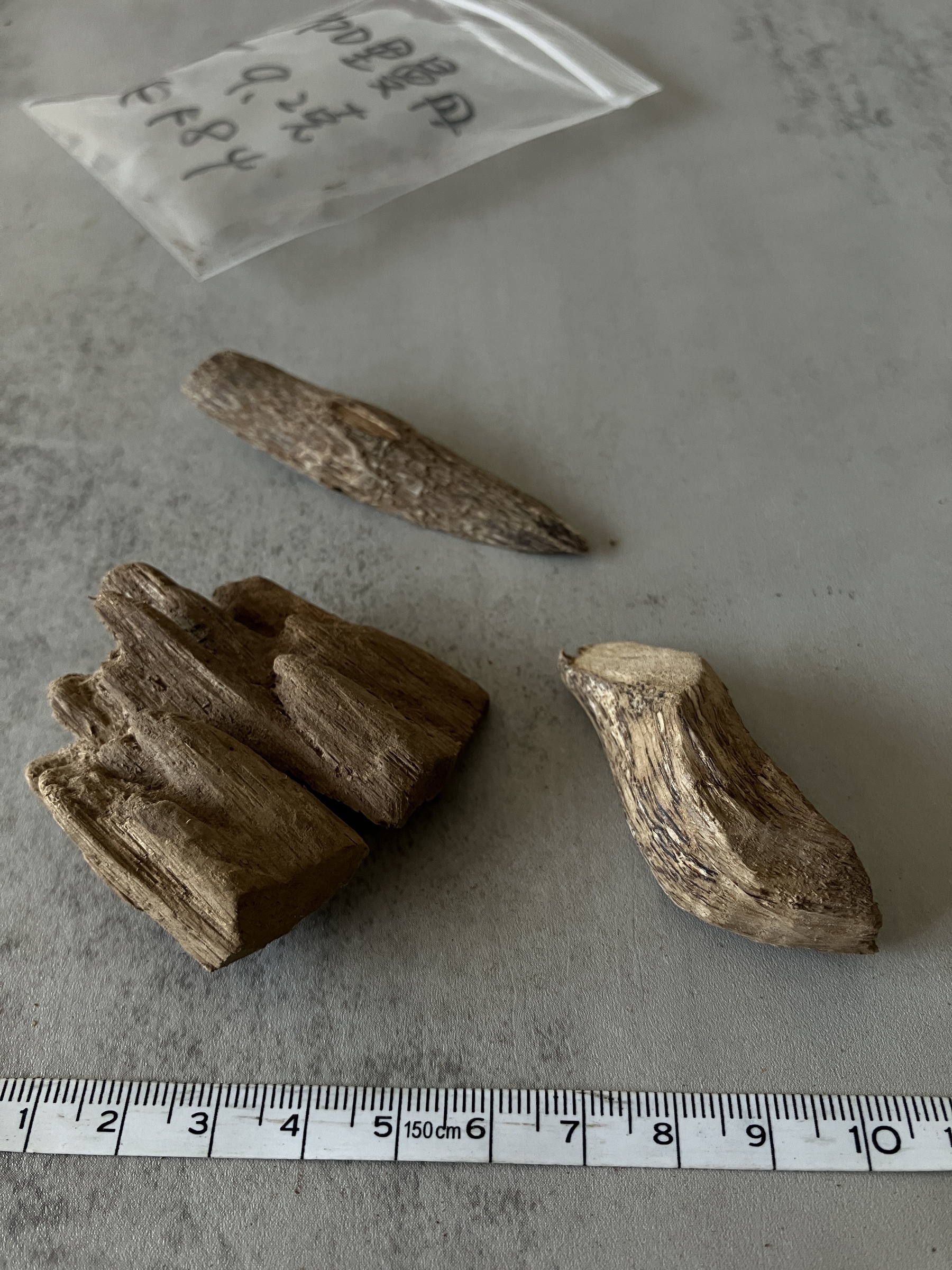 image_EB846FA4-F5B5-4130-B6D8-118B6B8FC8BC_1758089599