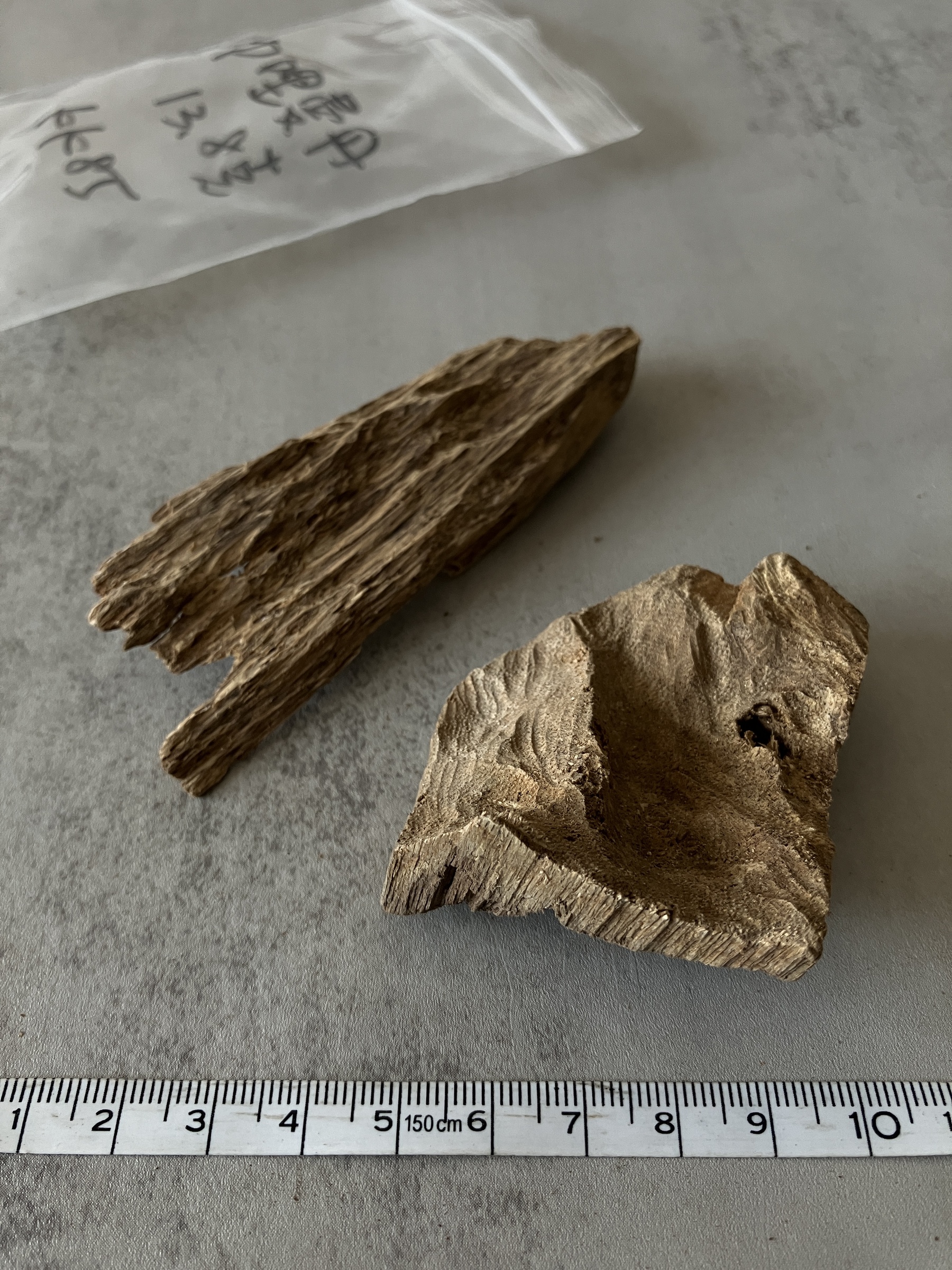 image_15ED7F6D-062C-42C9-8710-67FD926D52D7_1758089694
