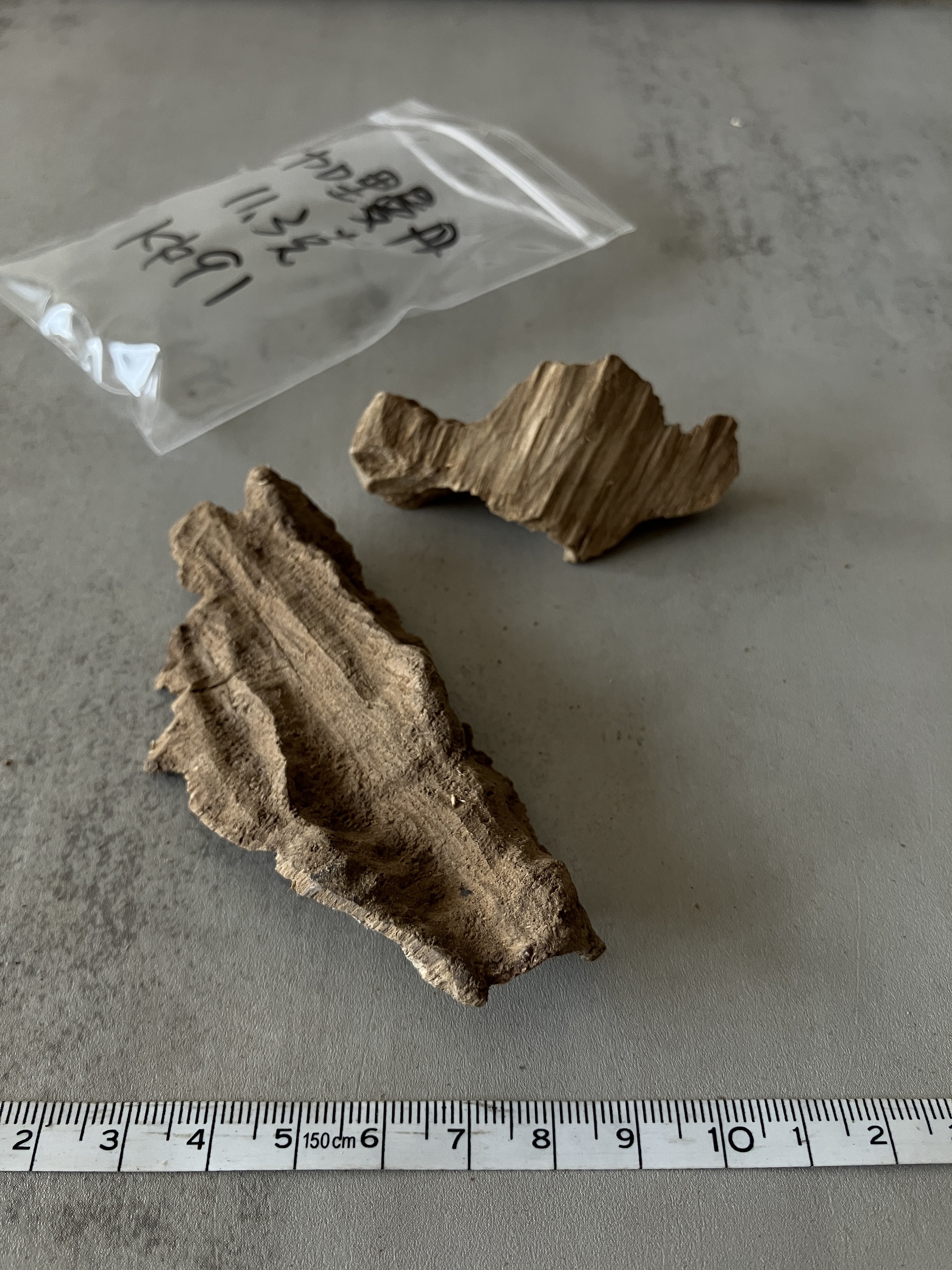 image_525BD7D3-3CFF-49D8-B6D4-441D05612140_1758089878