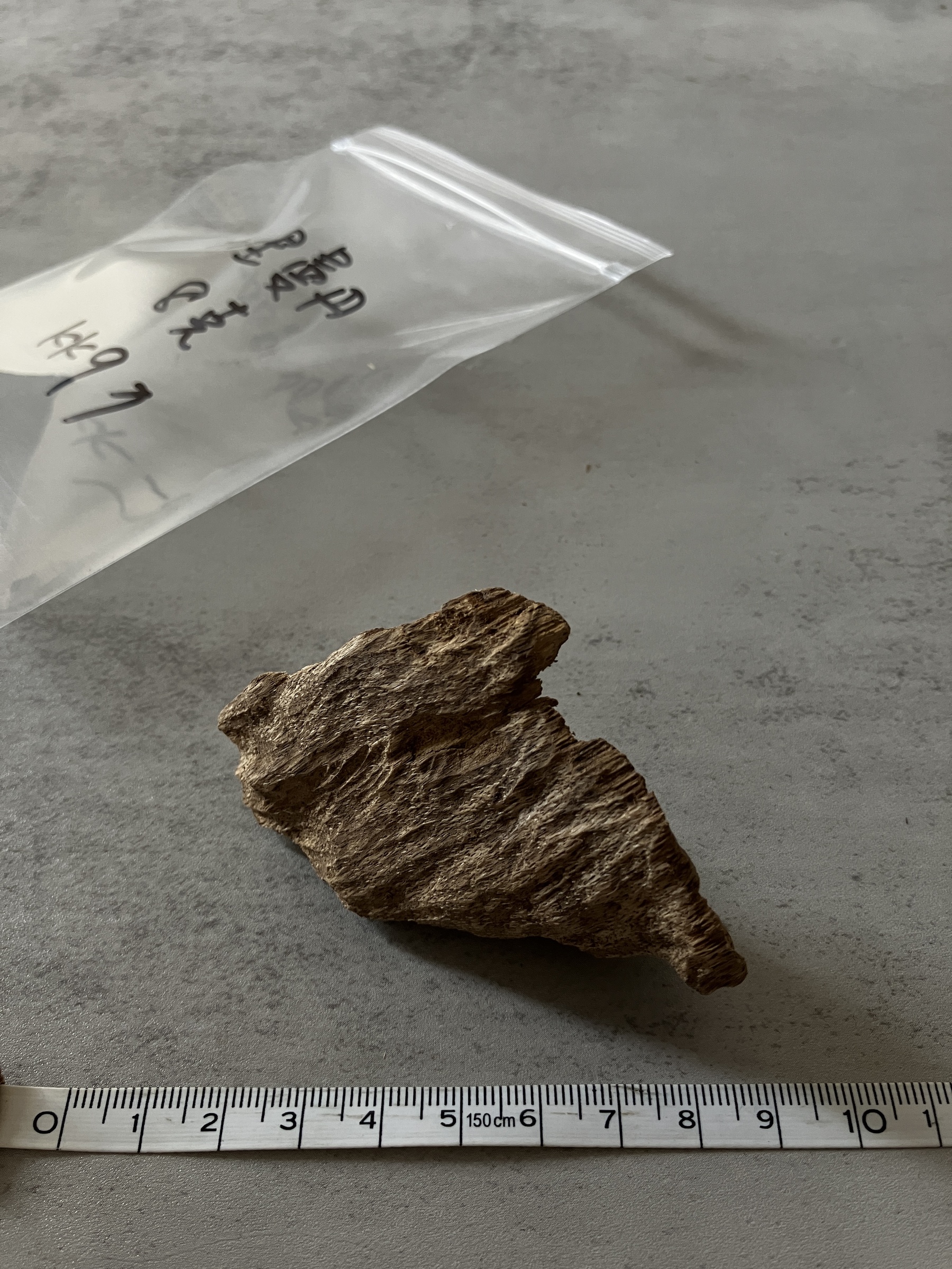 image_1C2A1E8E-13A6-4F6F-8D10-81821CA377A3_1758090106