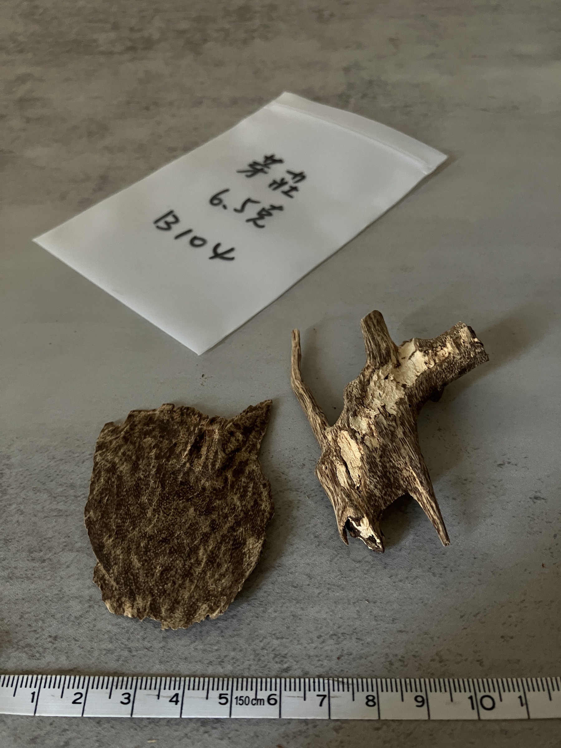 image_E98FF8E6-6153-4027-9C4B-3AADBCCCEFEA_1758612059
