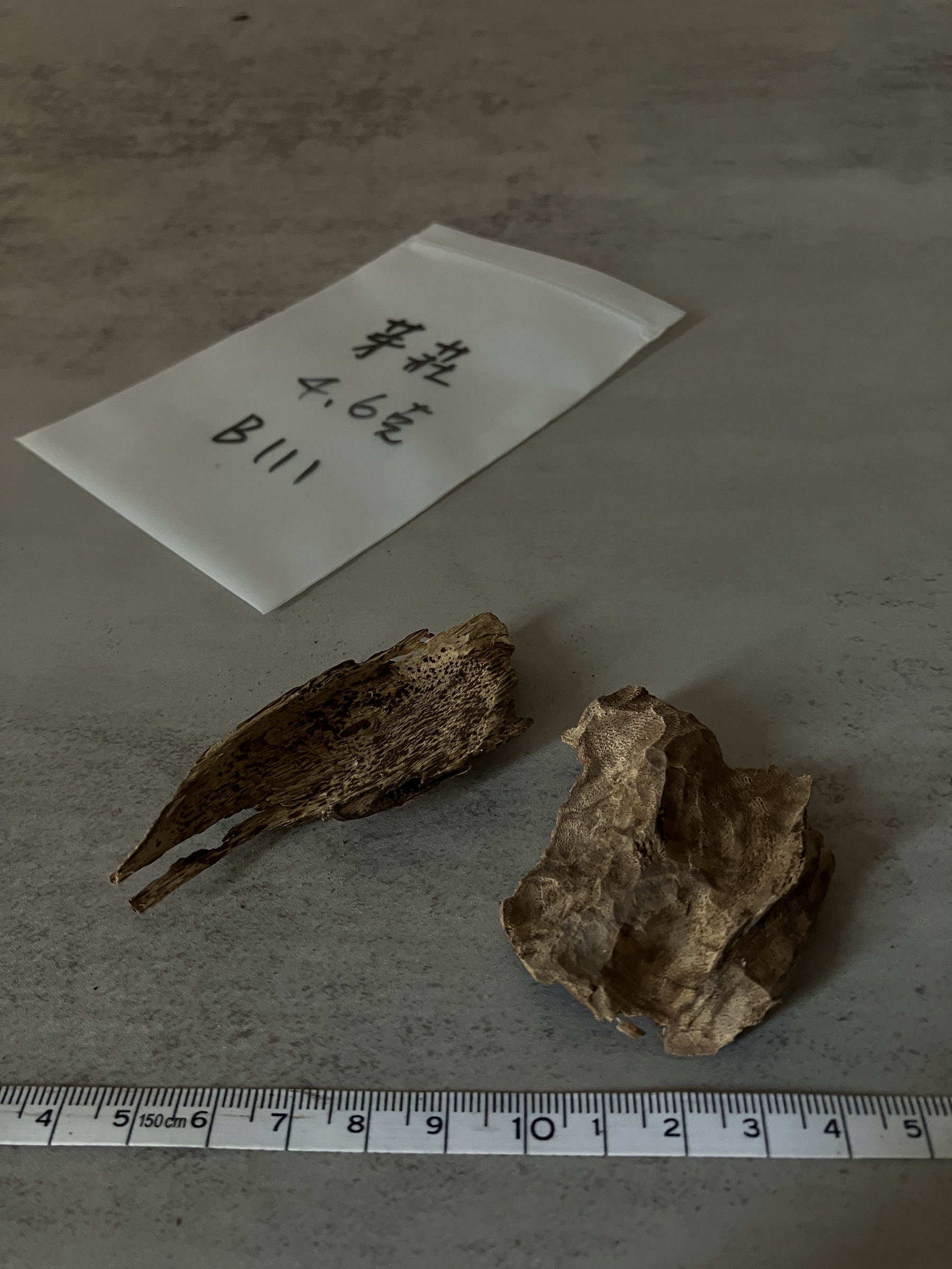 image_6F1B5180-65FB-4D71-BA5D-677561804ED3_1758612059