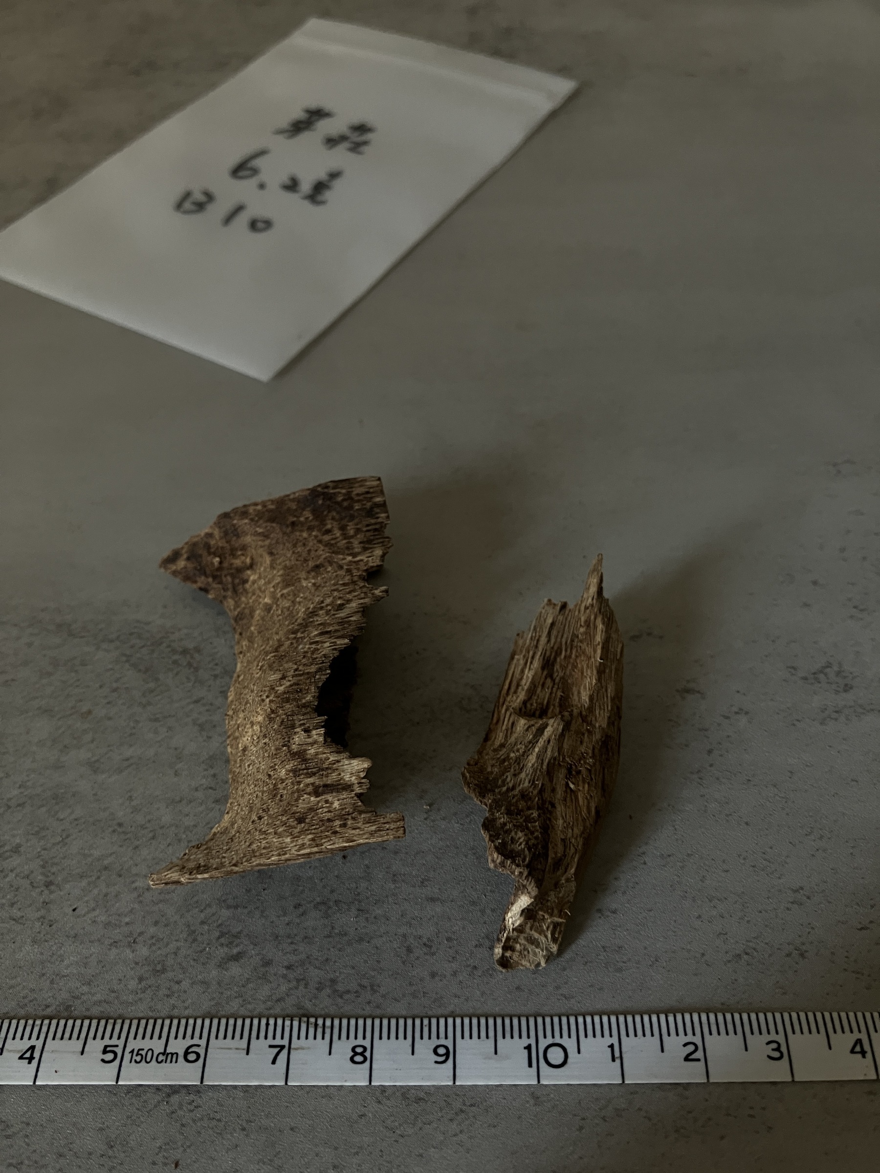 image_D66185F9-2B7F-445E-8FF8-4F36459AF475_1758612059