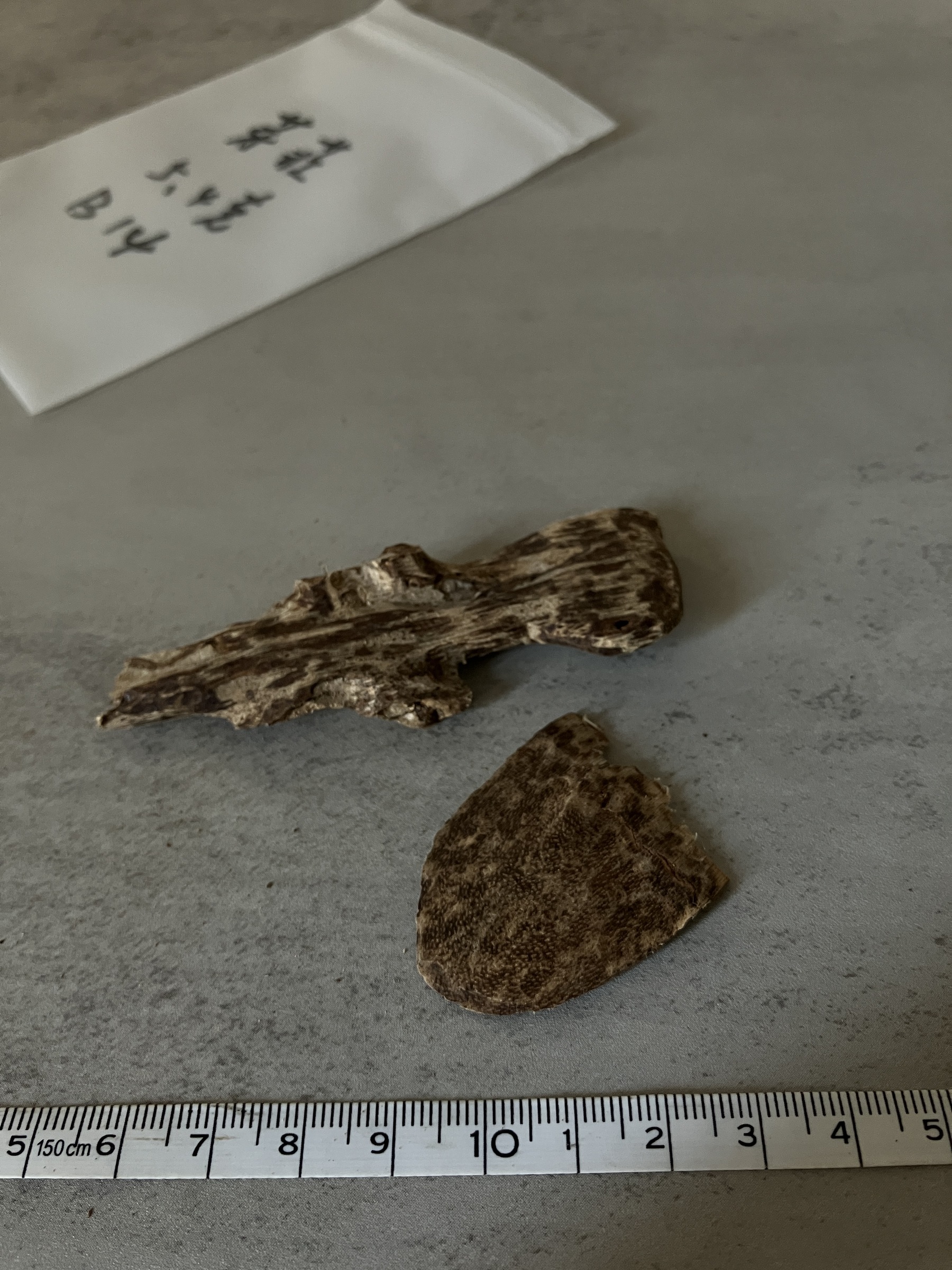 image_4E18E6B2-E1D3-4D2D-9617-CCEC6895C3FA_1758612059