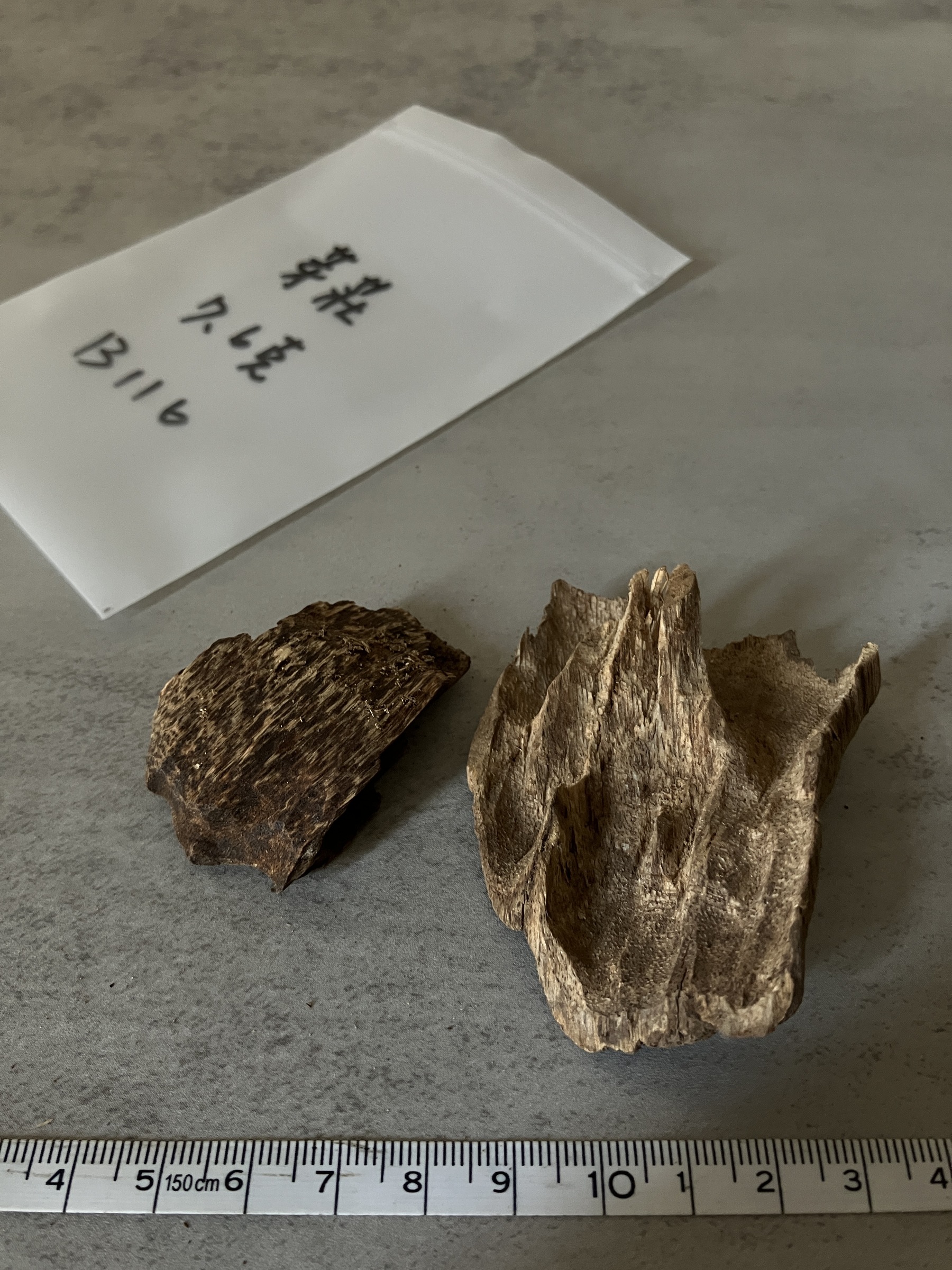 image_A1F662B4-F0DD-4198-A9E3-4B2456CDF14F_1758612059