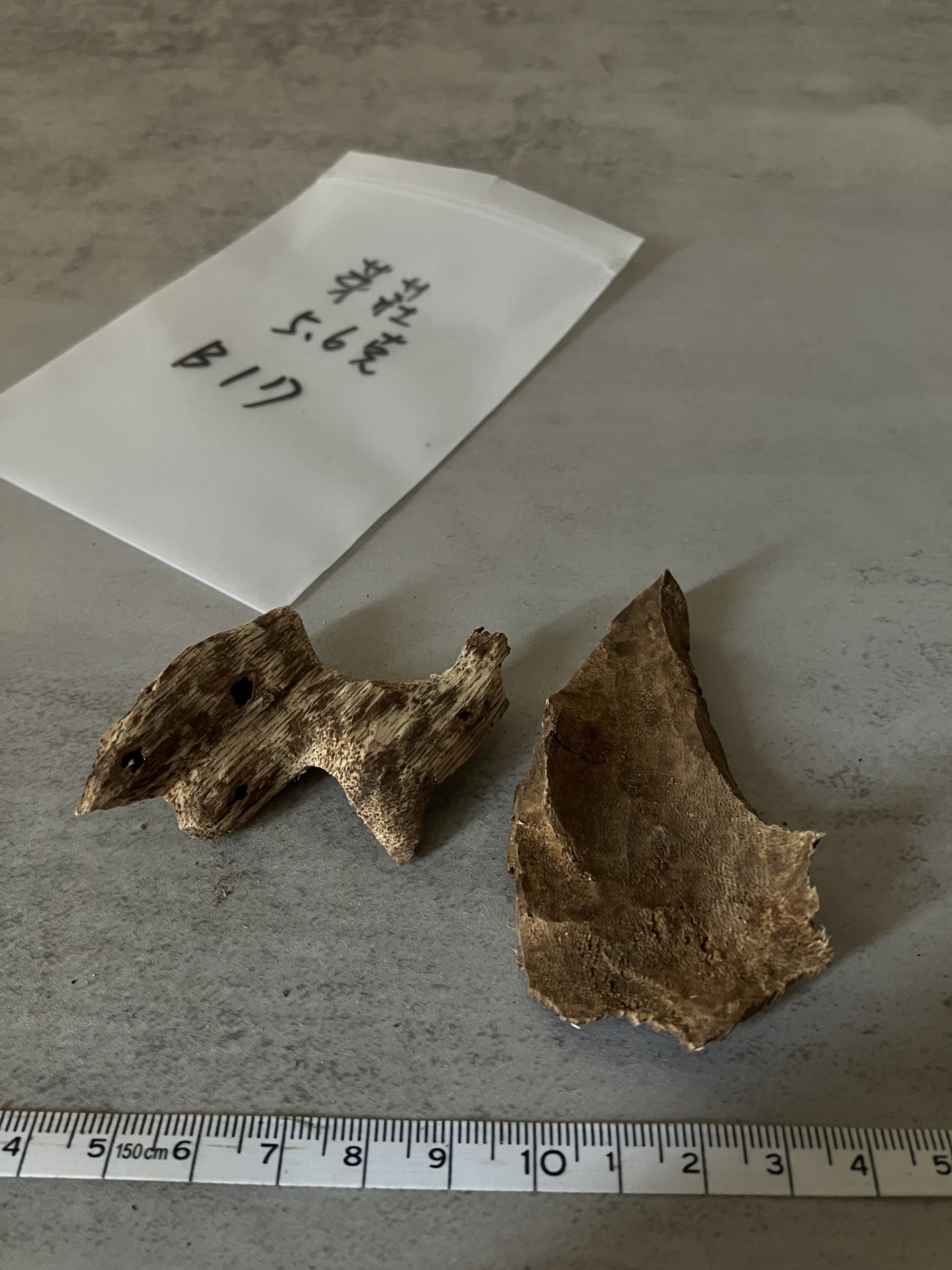 image_CA035F73-9BC3-46EE-87C6-1AB2B57EADD8_1758612059