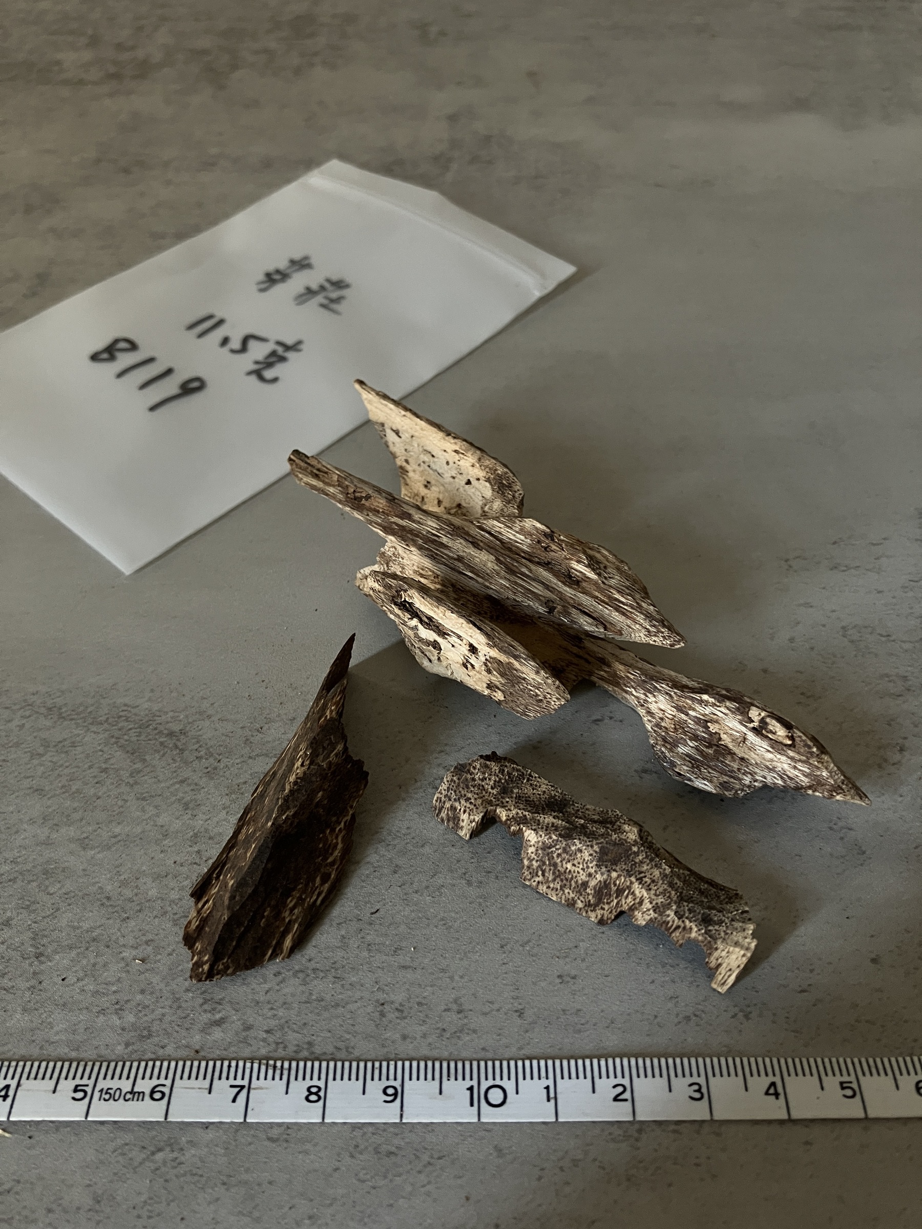 image_02CCADE3-6B98-4D72-8BFC-985E1BD09E75_1758612059
