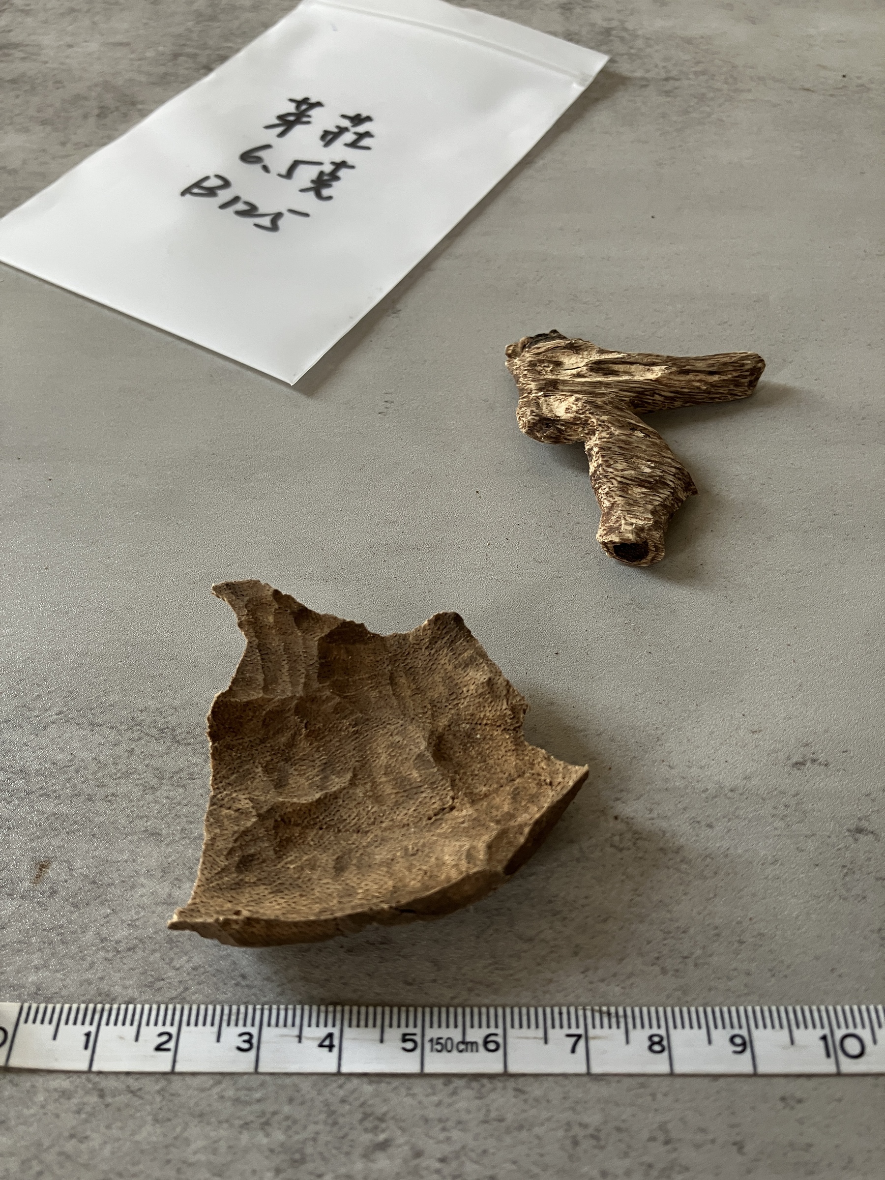 image_2E5A9DF7-99C6-4C51-9934-F5579076541A_1758612059