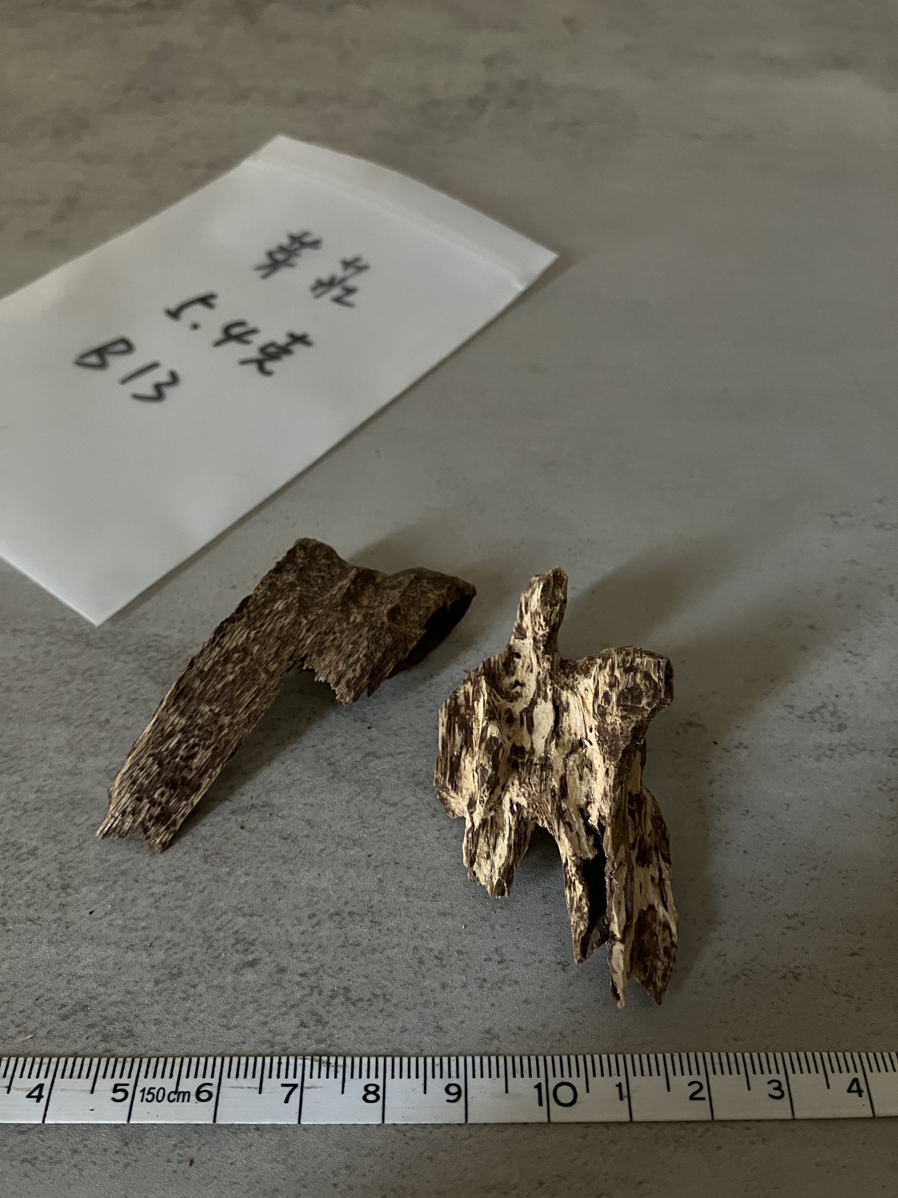 image_DCED7935-8355-4079-B2E3-A0B09FD272CD_1758614014