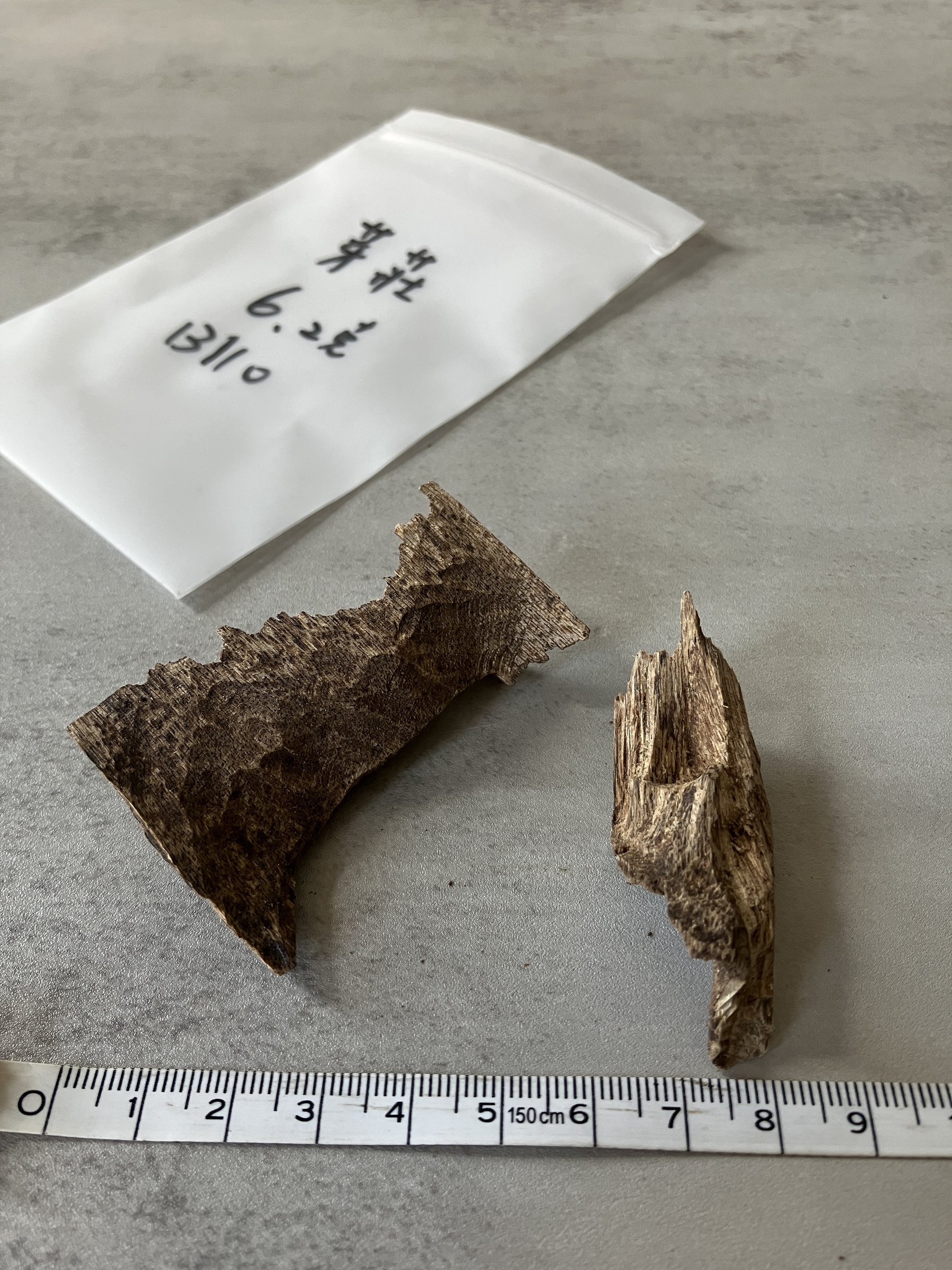 image_91AB45B4-4BD4-490F-9531-9E4E45817E31_1758696101