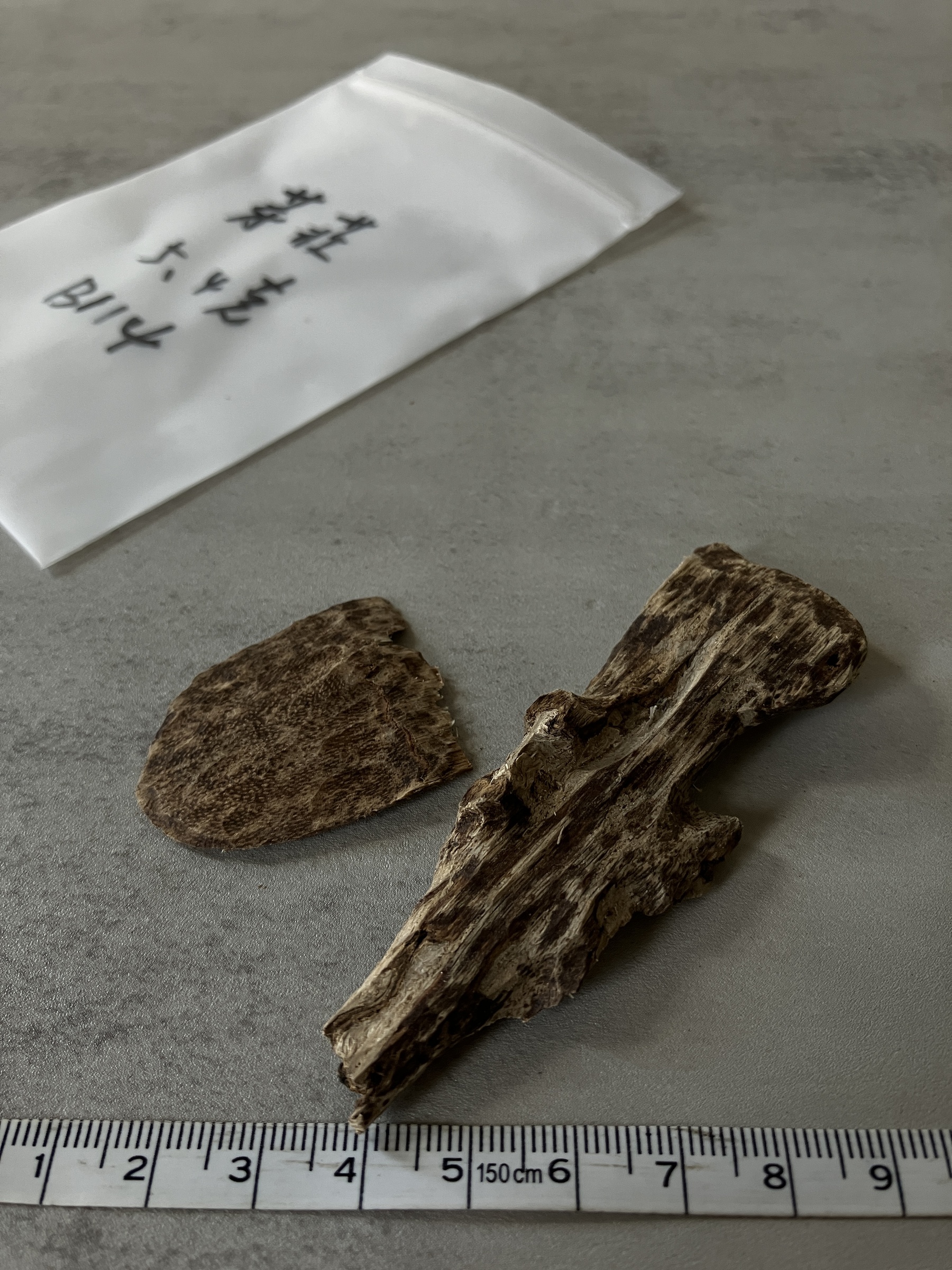 image_EFE274D2-CF30-4226-AF6E-0AE76CEB19A1_1758696165