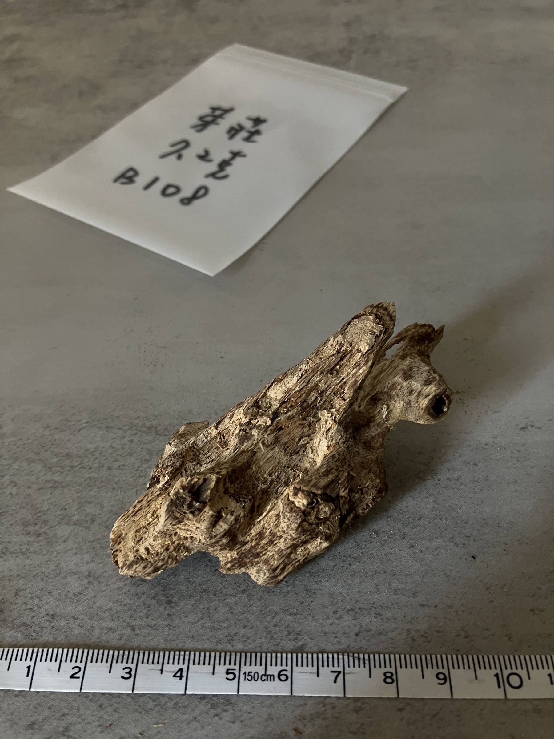 image_CA5B9A9C-43B3-418C-9CC9-59D9DAF0F9B4_1758696482
