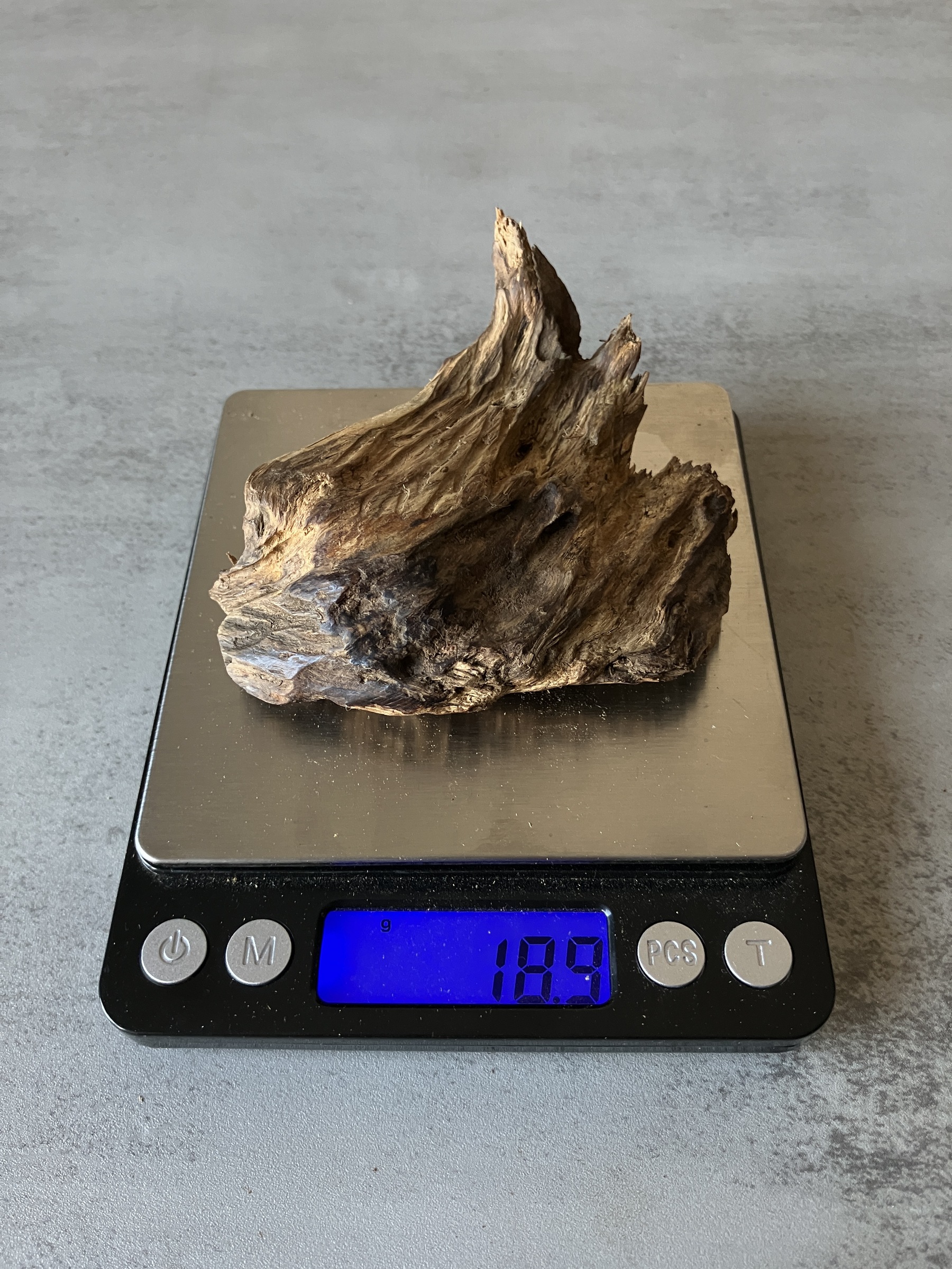 image_398D728C-4879-45C8-9CFD-2F57E28B2987_1759904203
