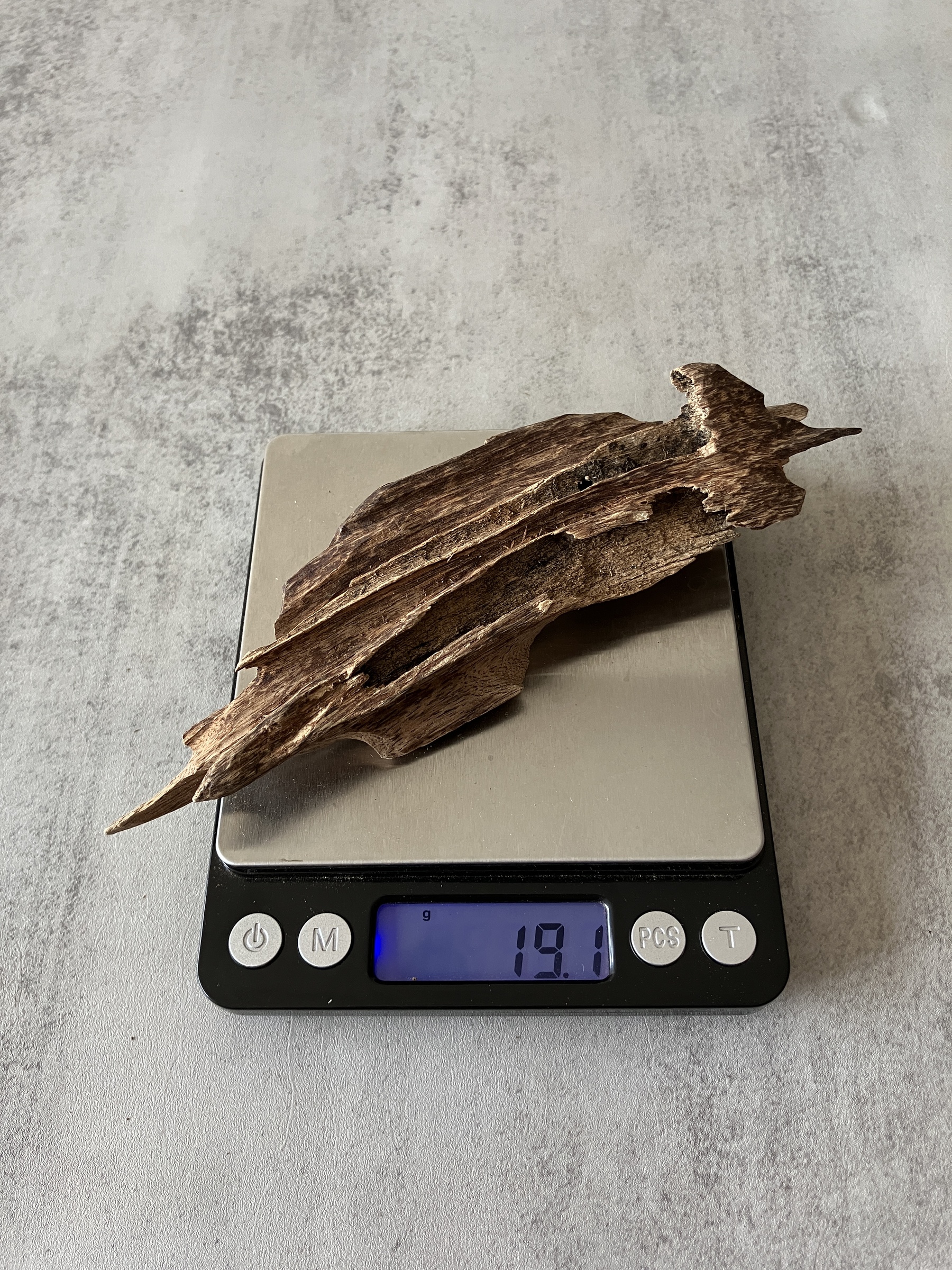 image_6D8FF082-C937-49D4-81C1-7E78D8D1AEA5_1759994381