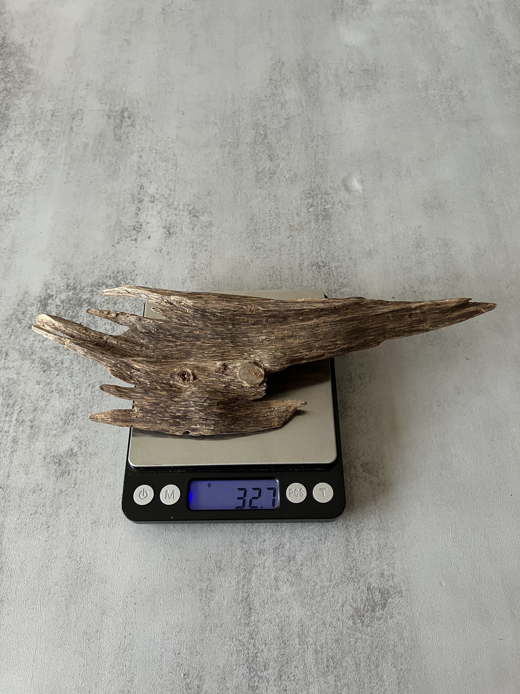 image_BD56F3F6-B689-4737-A41A-9001C0258ACA_1759994858