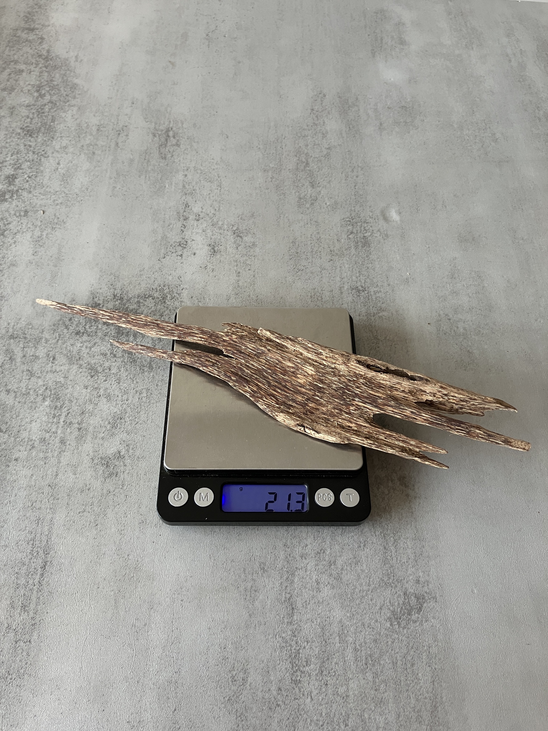 image_61DC5B08-D639-4DEF-9FFD-B4312C6D59B5_1759995108