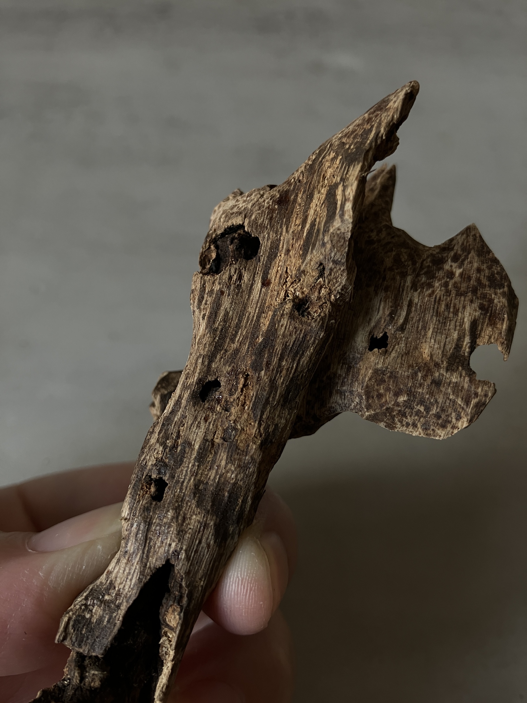 image_F6CD2155-2049-4273-B824-562E7B023A17_1760512980