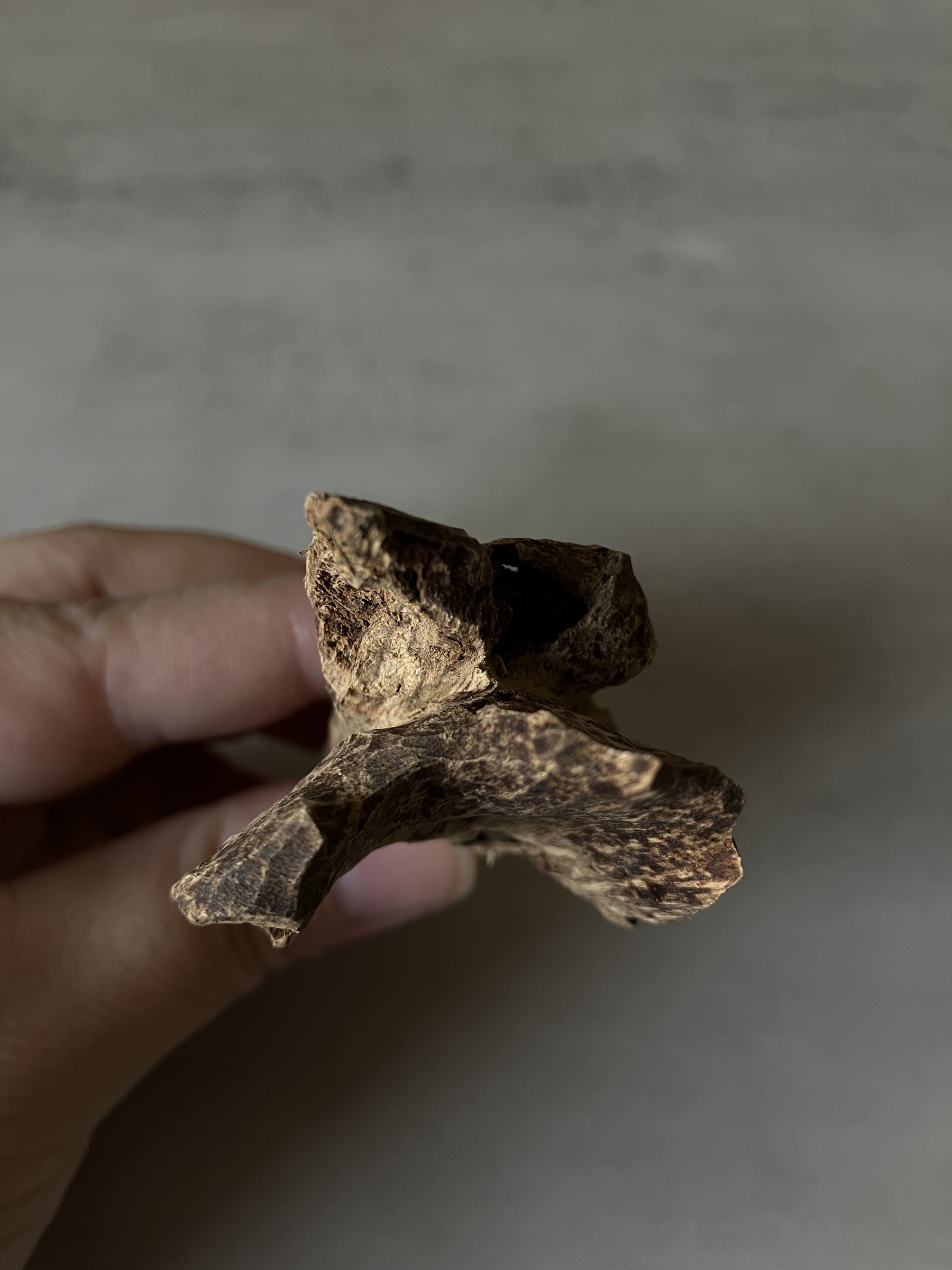 image_BB3DB74F-1338-432B-86B3-1FE0C48F47C5_1760512980